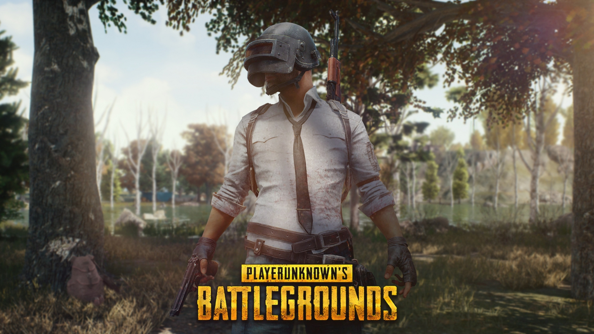 PUBG Lone Survivor, Level 3 Helmet, PLAYERUNKNOWN'S BATTLEGROUNDS, HD Desktop wallpaper