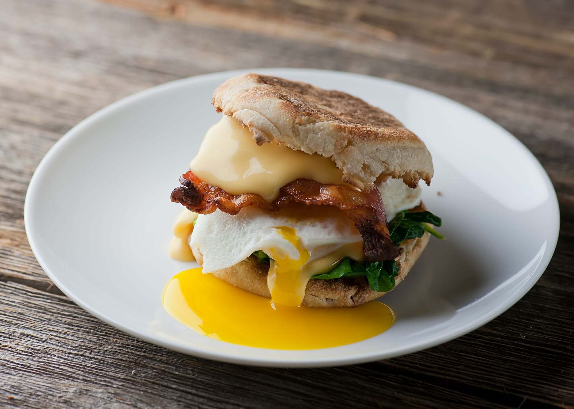 Best breakfast sandwich, Framed cooks, 2000x1430 HD Desktop