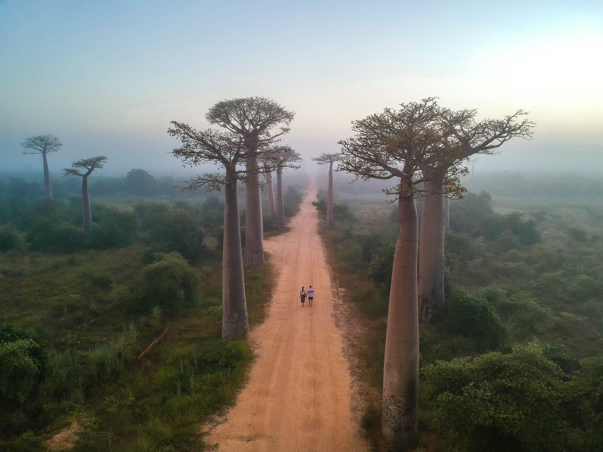Republic of Madagascar, African Island Nation, Cultural Heritage, Exotic Flora, 2050x1540 HD Desktop