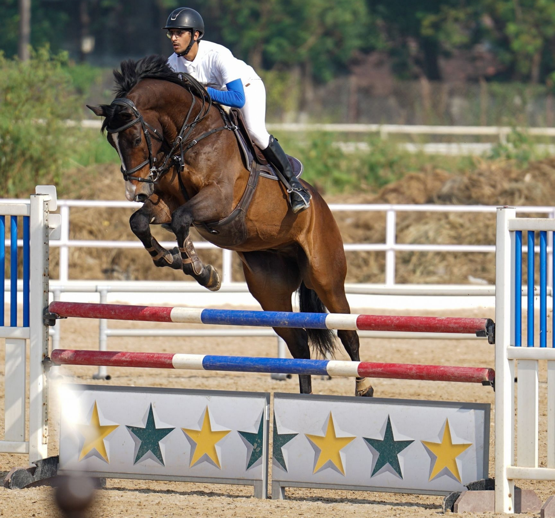 Pranay Khare, Equestrian Sports Wallpaper, 1920x1800 HD Desktop