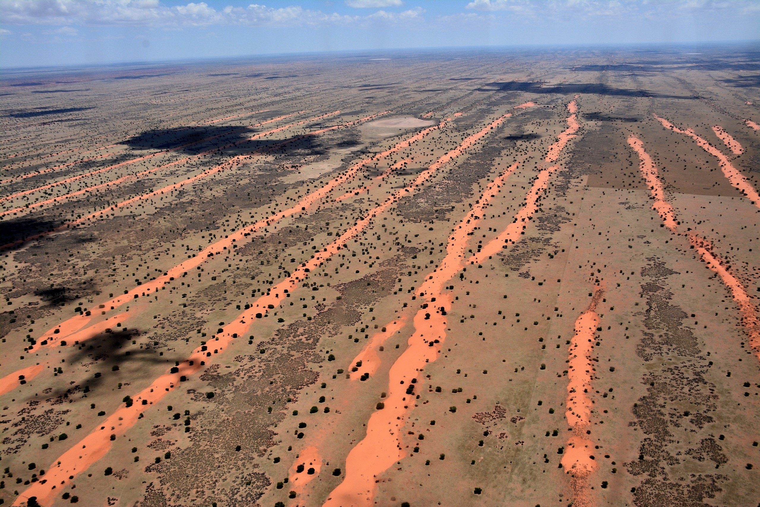 Kalahari Desert birds, Panoramic view, Unique ecosystem, Natural wonders, 2560x1710 HD Desktop