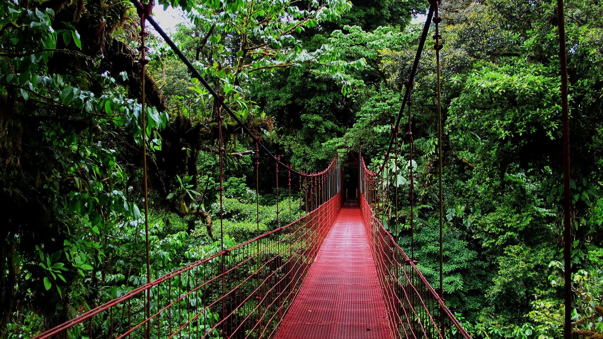 Costa Rica, Free download, Monteverde Blue Crab Tours, Desktop, Mobile, 1920x1080 Full HD Desktop