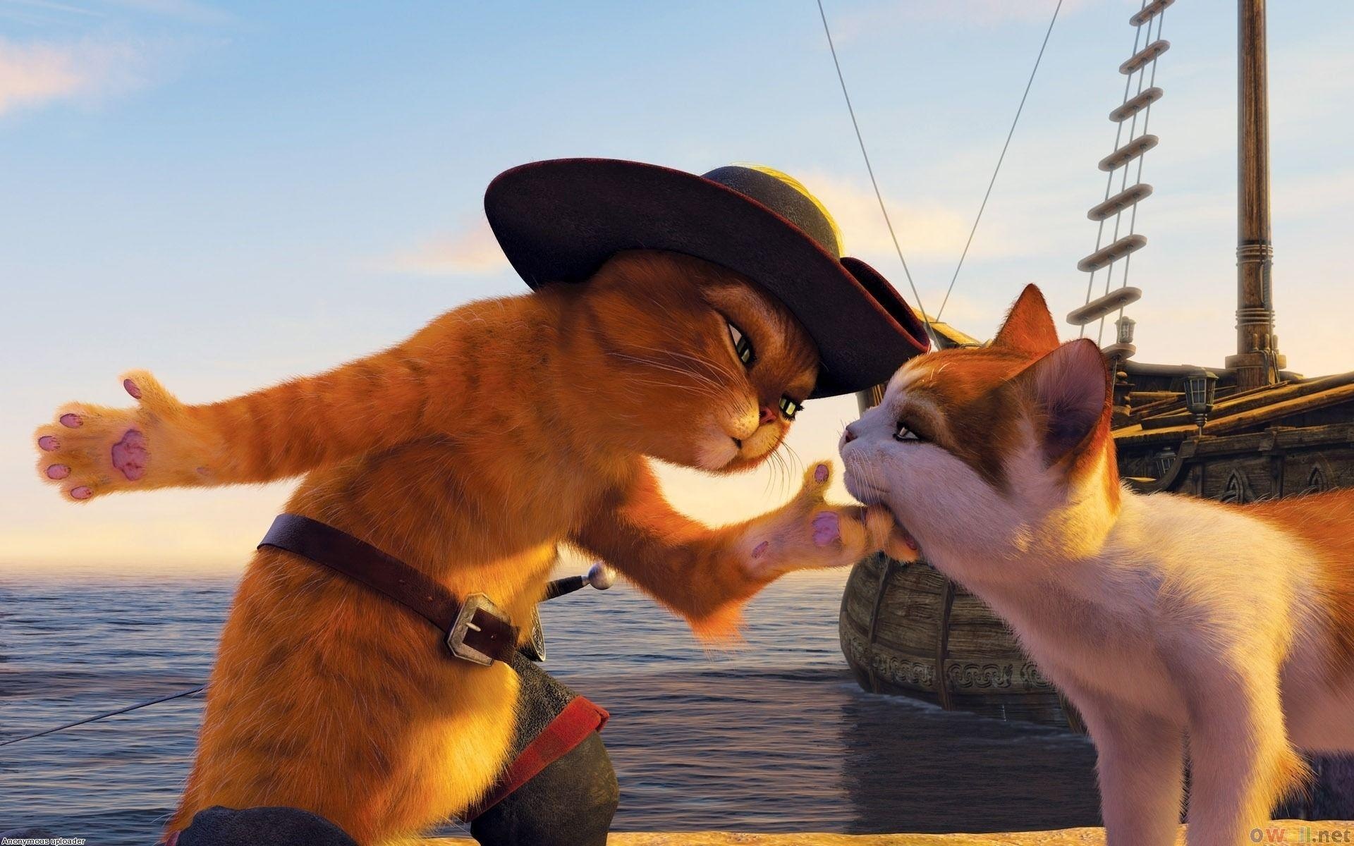 Puss in Boots, The Last Wish animation, Puss in boots wallpapers, Animated fantasy, 1920x1200 HD Desktop
