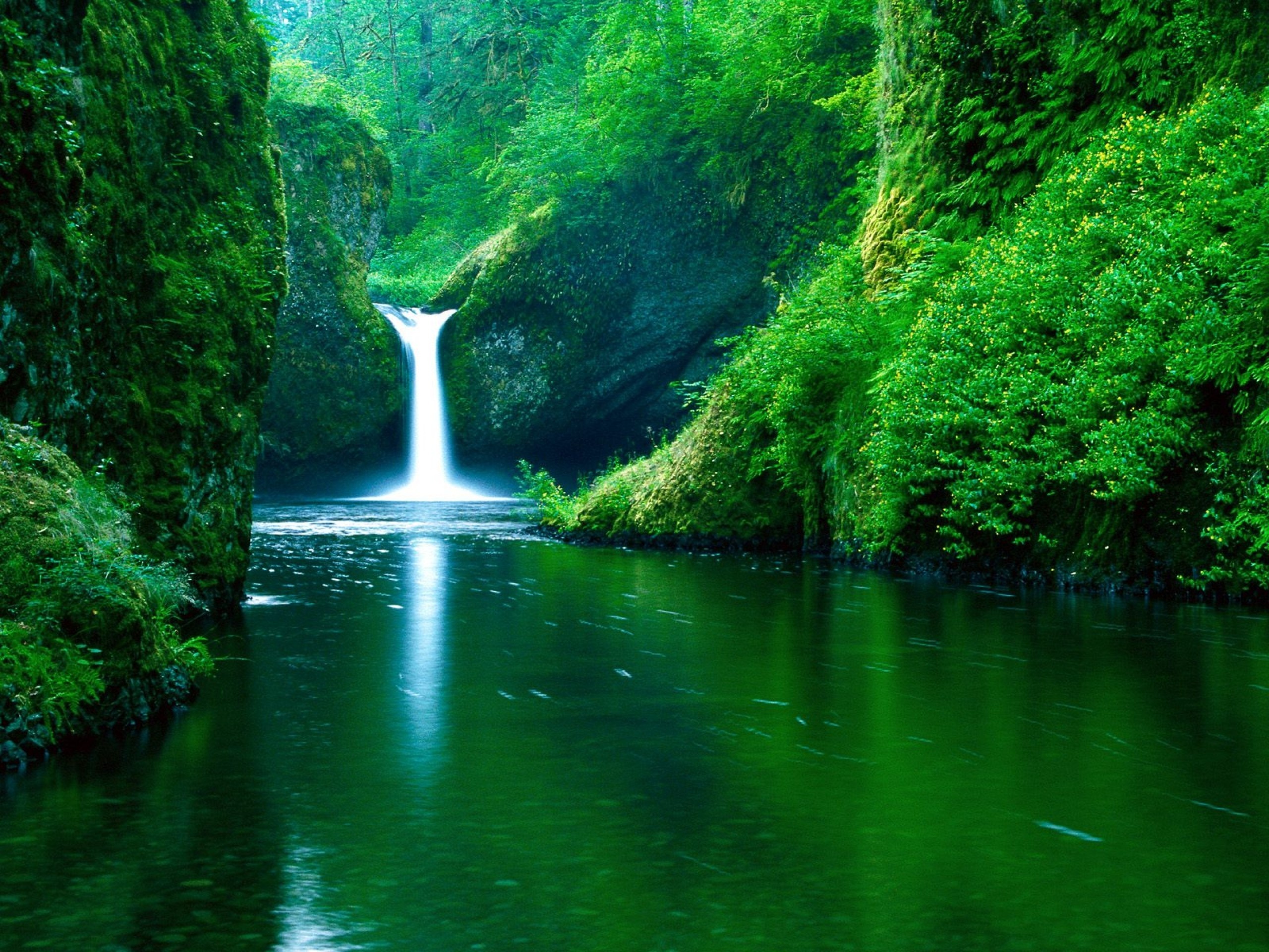 Punch Bowl Falls, Columbia River Gorge, mossy canyon pool, HD Desktop wallpaper