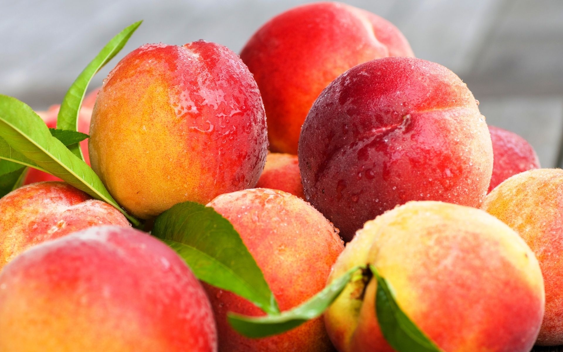 Fresh peach wallpapers, HD quality, Beautiful fruits, Stunning display, 1920x1200 HD Desktop