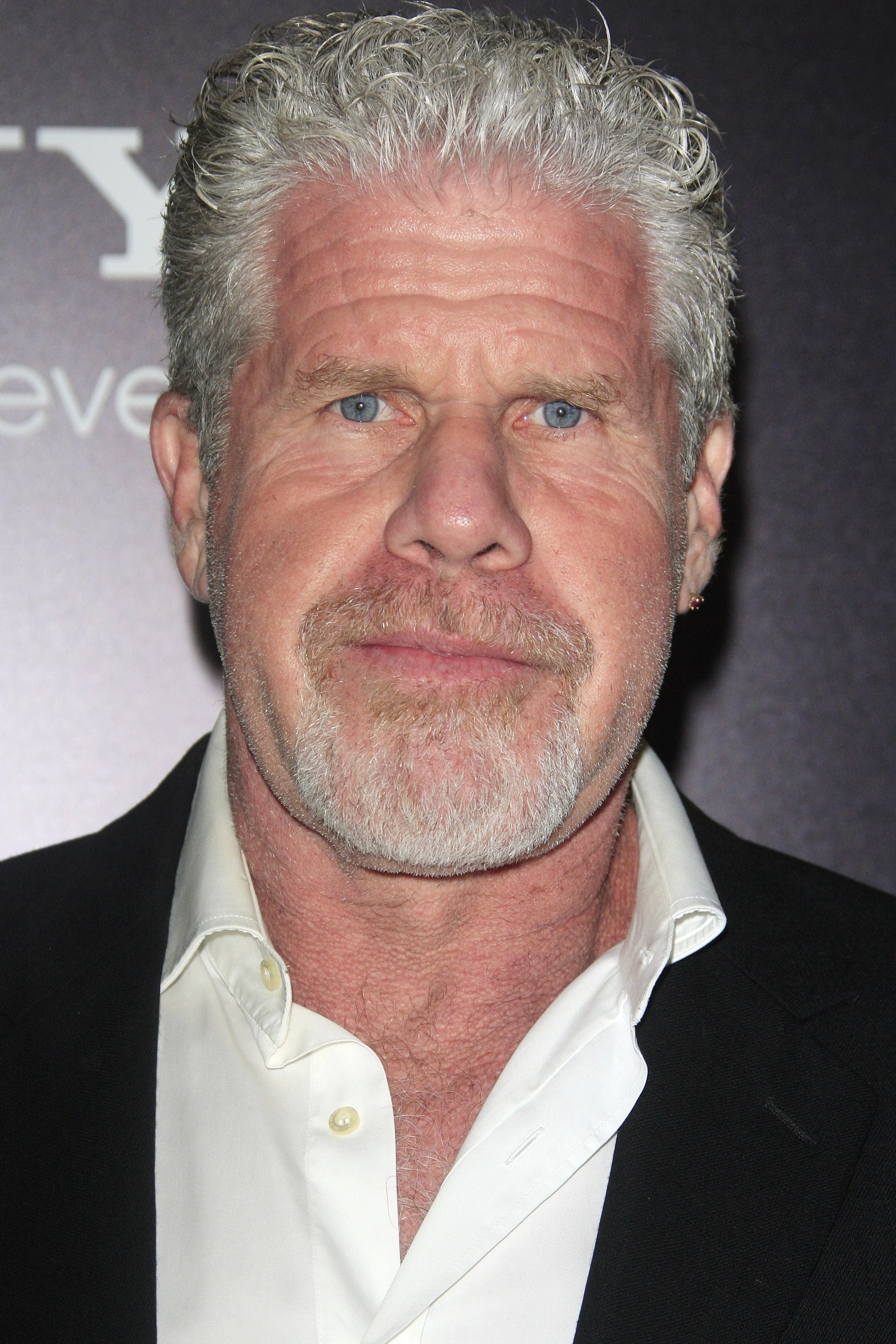 Ron Perlman, Movies, Profile images, TMDB, 2000x3000 HD Phone
