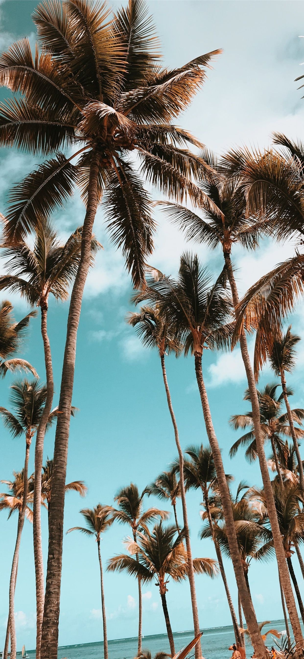 Dominican Republic iPhone wallpapers, Free download, HD, High quality, 1250x2690 HD Phone