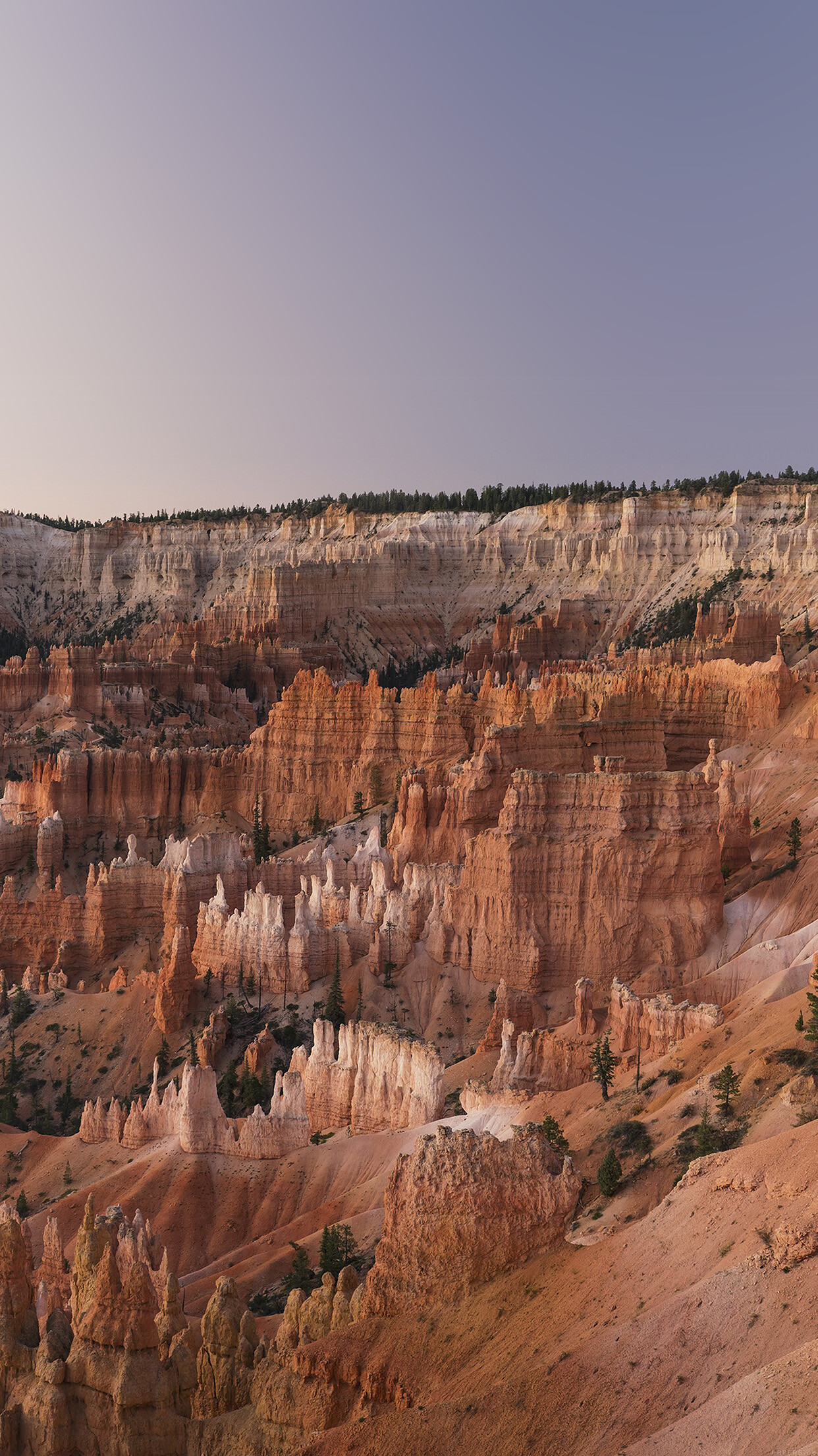 Grand Canyon creek, Desert scene, Nature's serenity, Landscape photography, 1250x2210 HD Phone