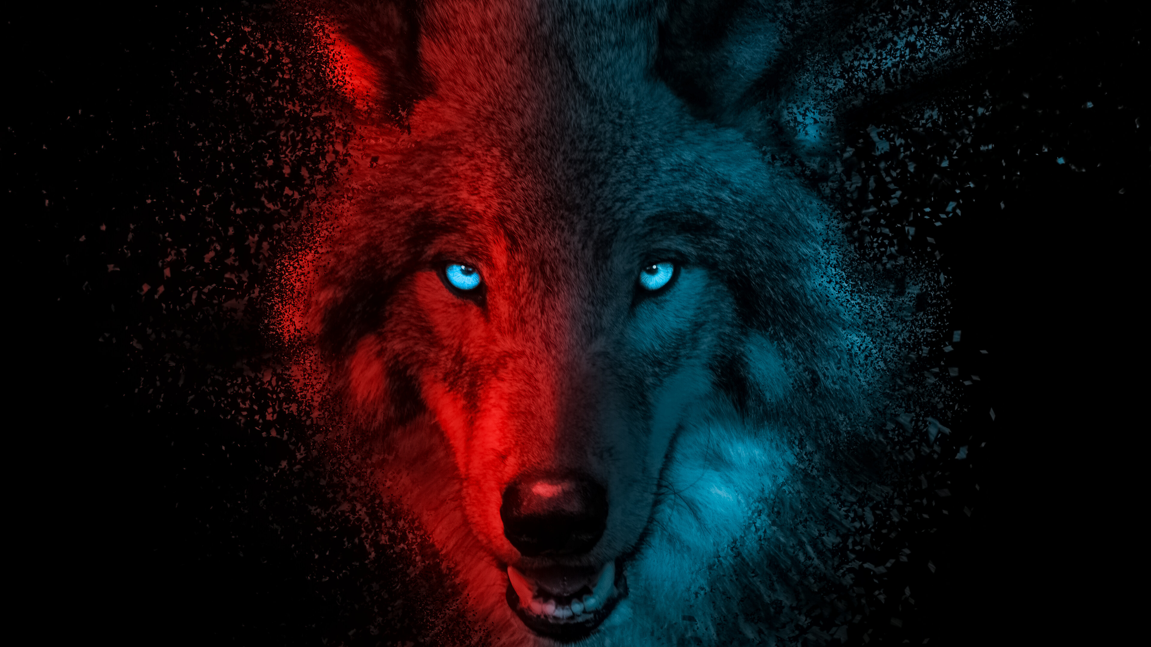 Wolf wallpaper 4K scary, Mysterious creature, Haunting eyes, Dark and foreboding, 3840x2160 4K Desktop