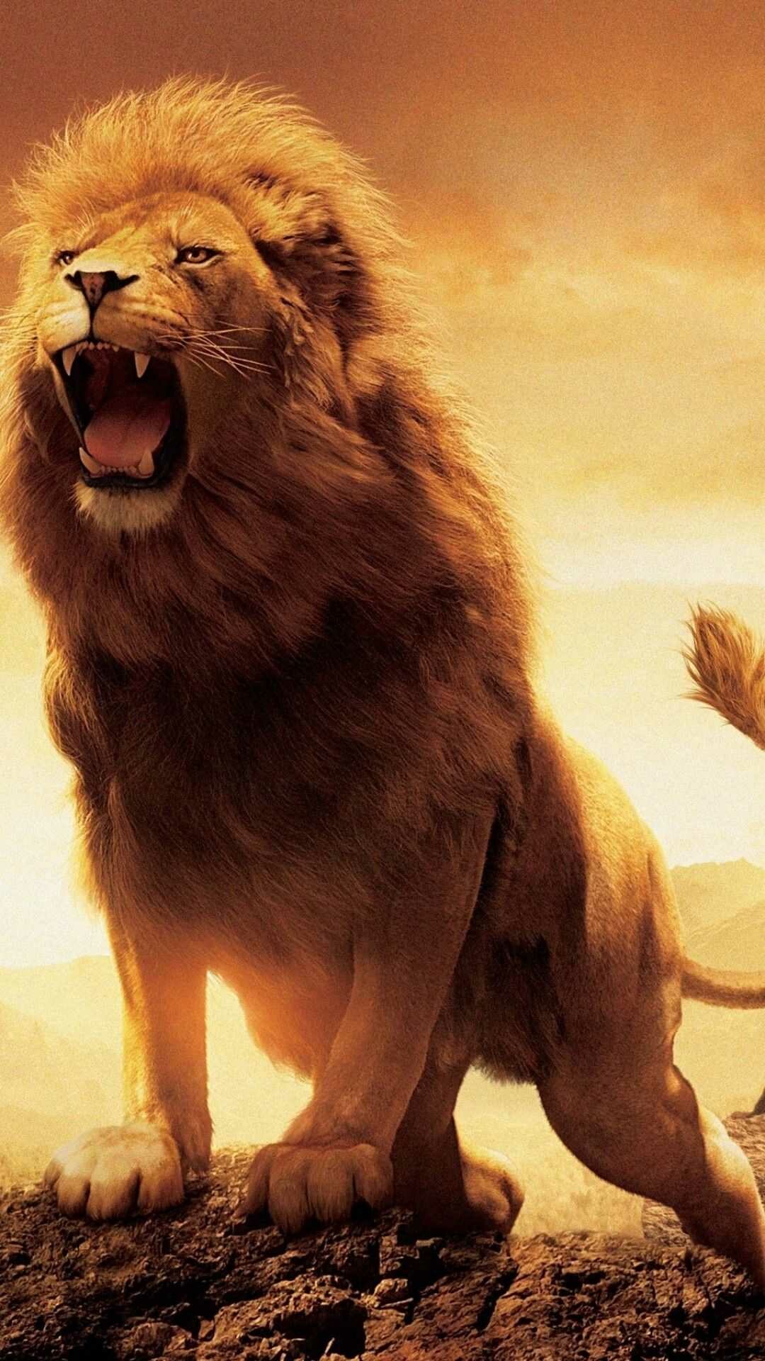 Lion wallpaper, Captivating gaze, Fierce predator, Untamed wilderness, 1080x1920 Full HD Phone