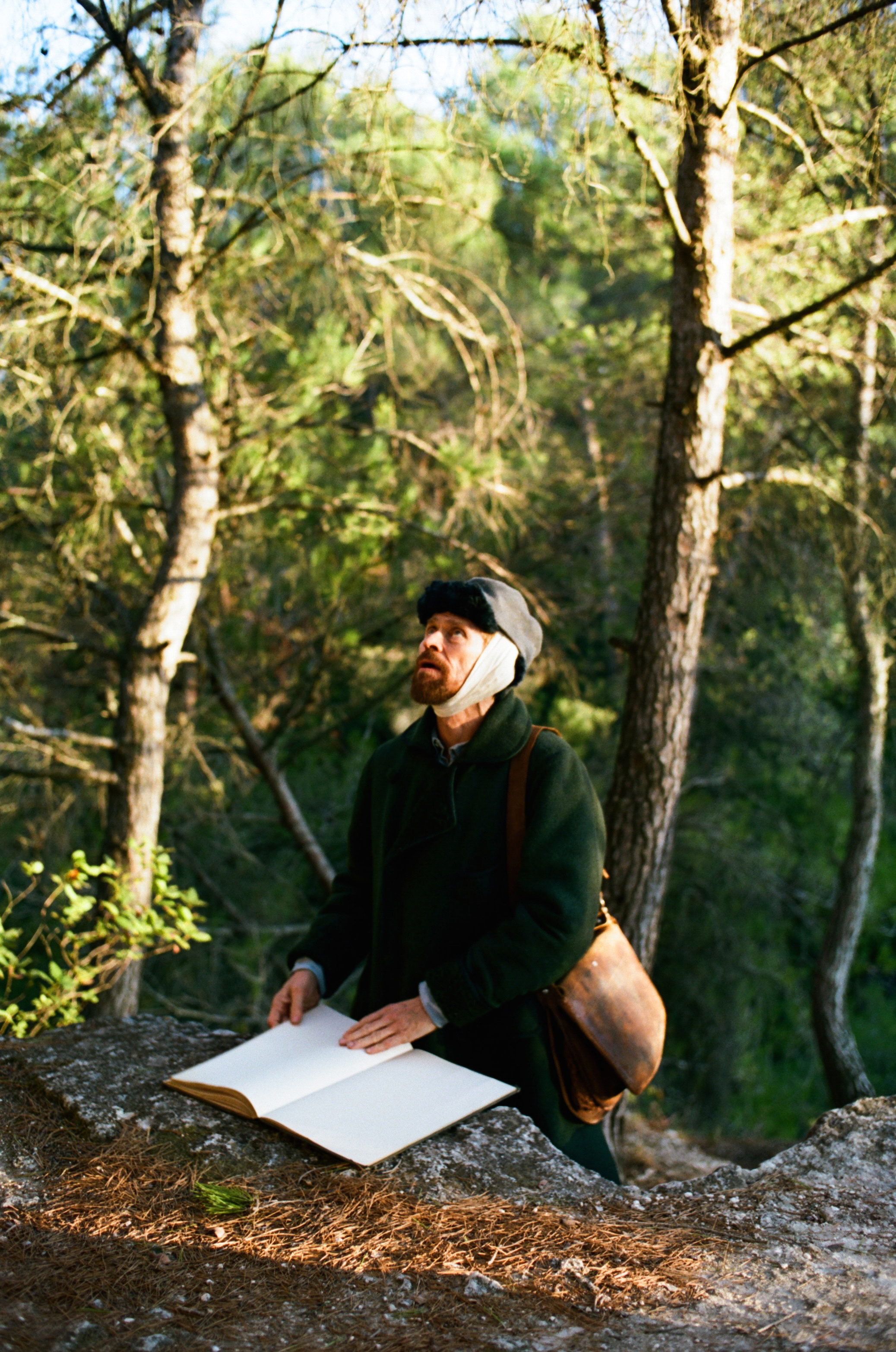 At Eternity's Gate, Julian Schnabel, Portrait, Vincent Van Gogh, 2080x3130 HD Phone
