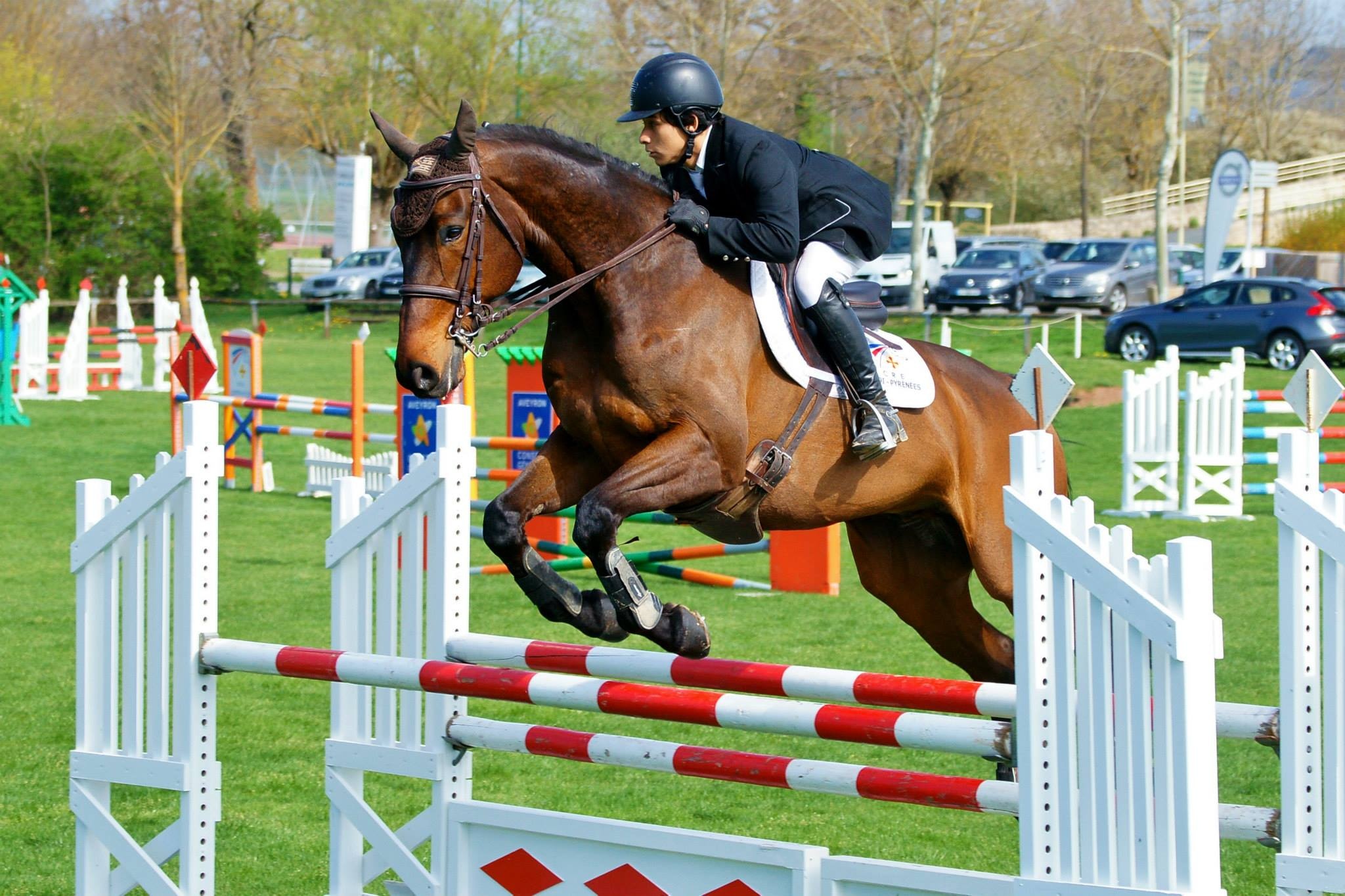 The world of equestrianism, Equestrian lifestyle, Equestrian passion, Equestrian culture, 2050x1370 HD Desktop