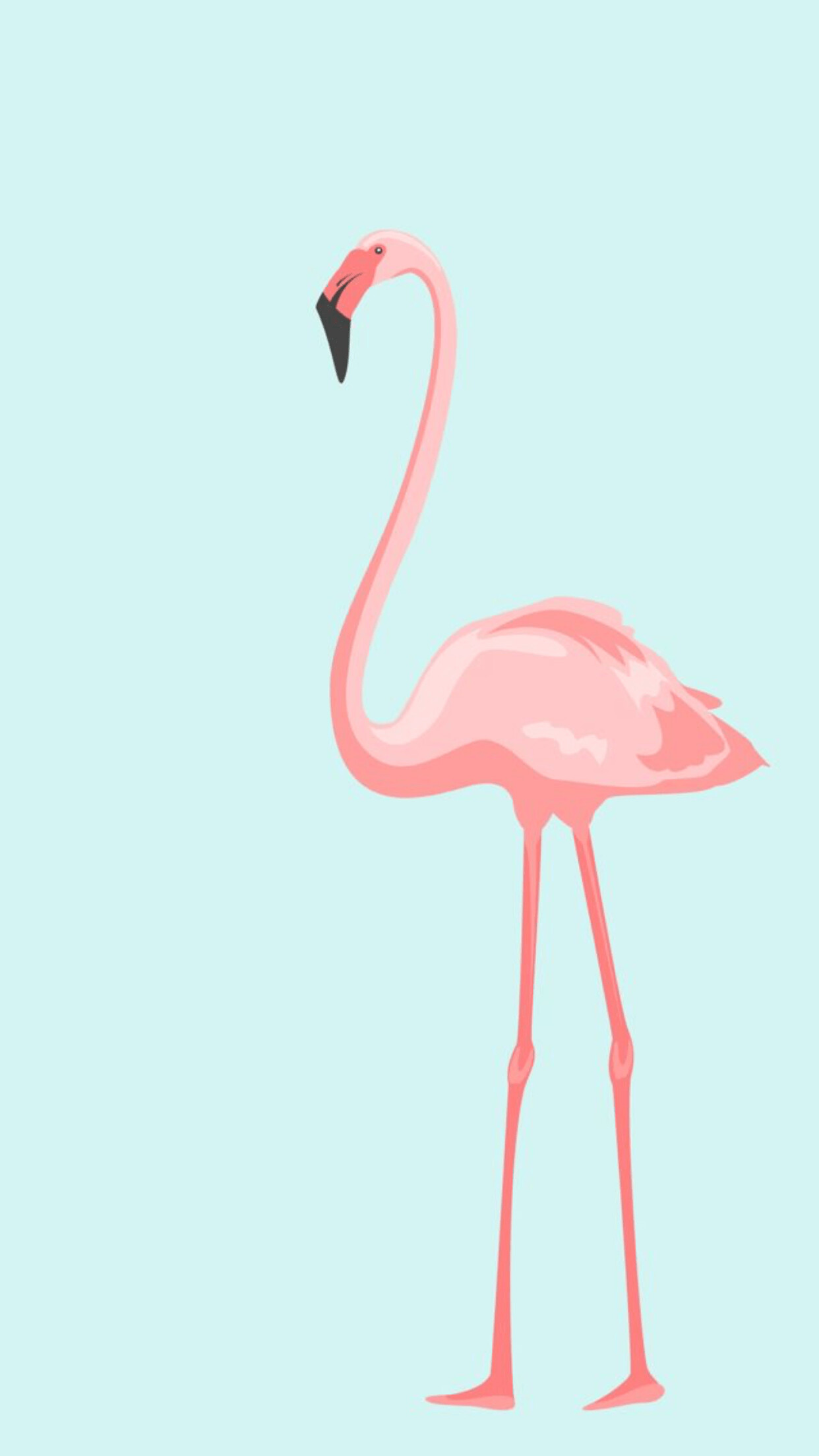 Flamingo wallpaper, Beautiful design, Captivating visuals, Vibrant image, 1250x2210 HD Phone