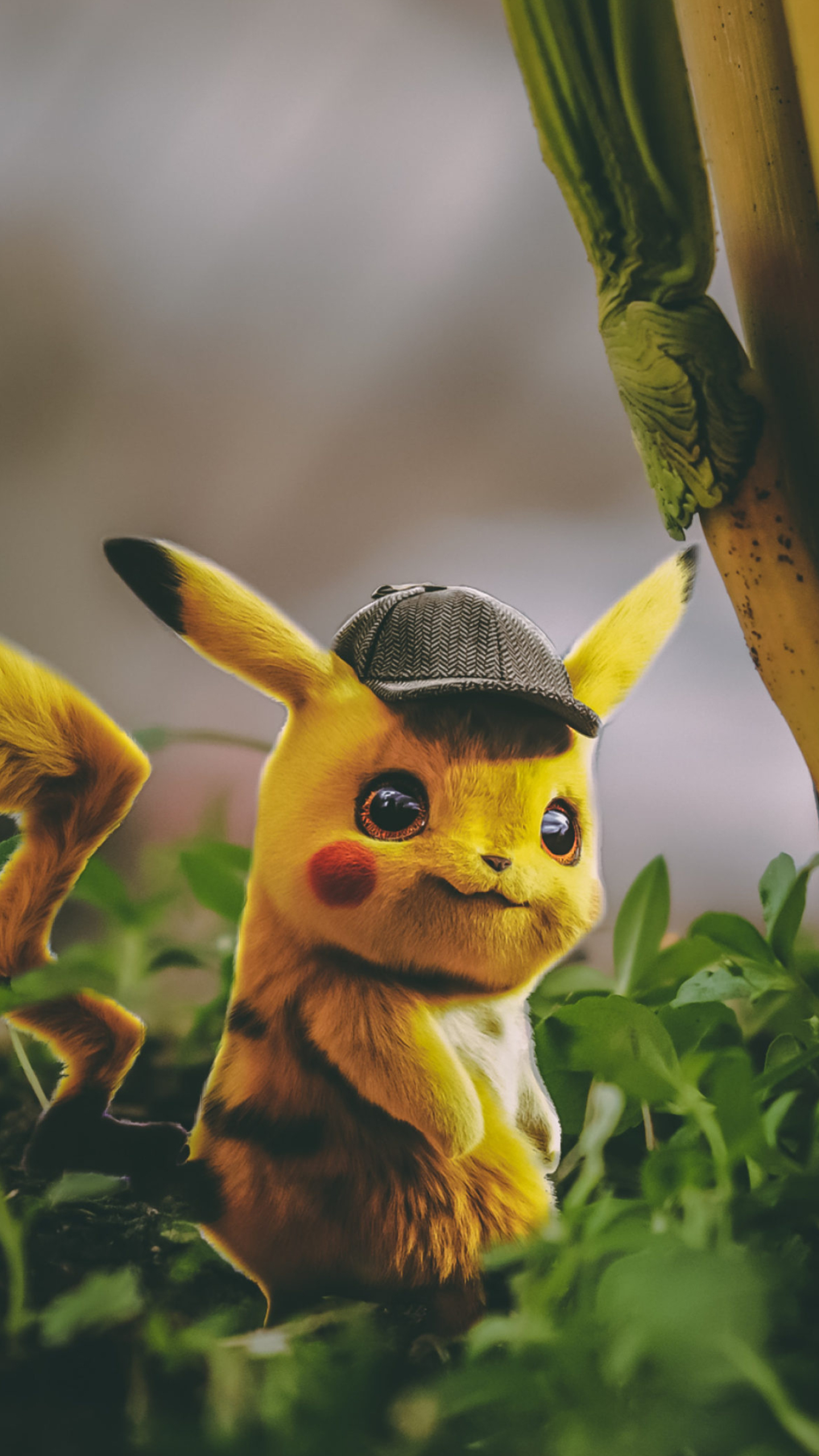 Detective Pikachu, tweed deerstalker hat, green garden foliage, HD Phone wallpaper