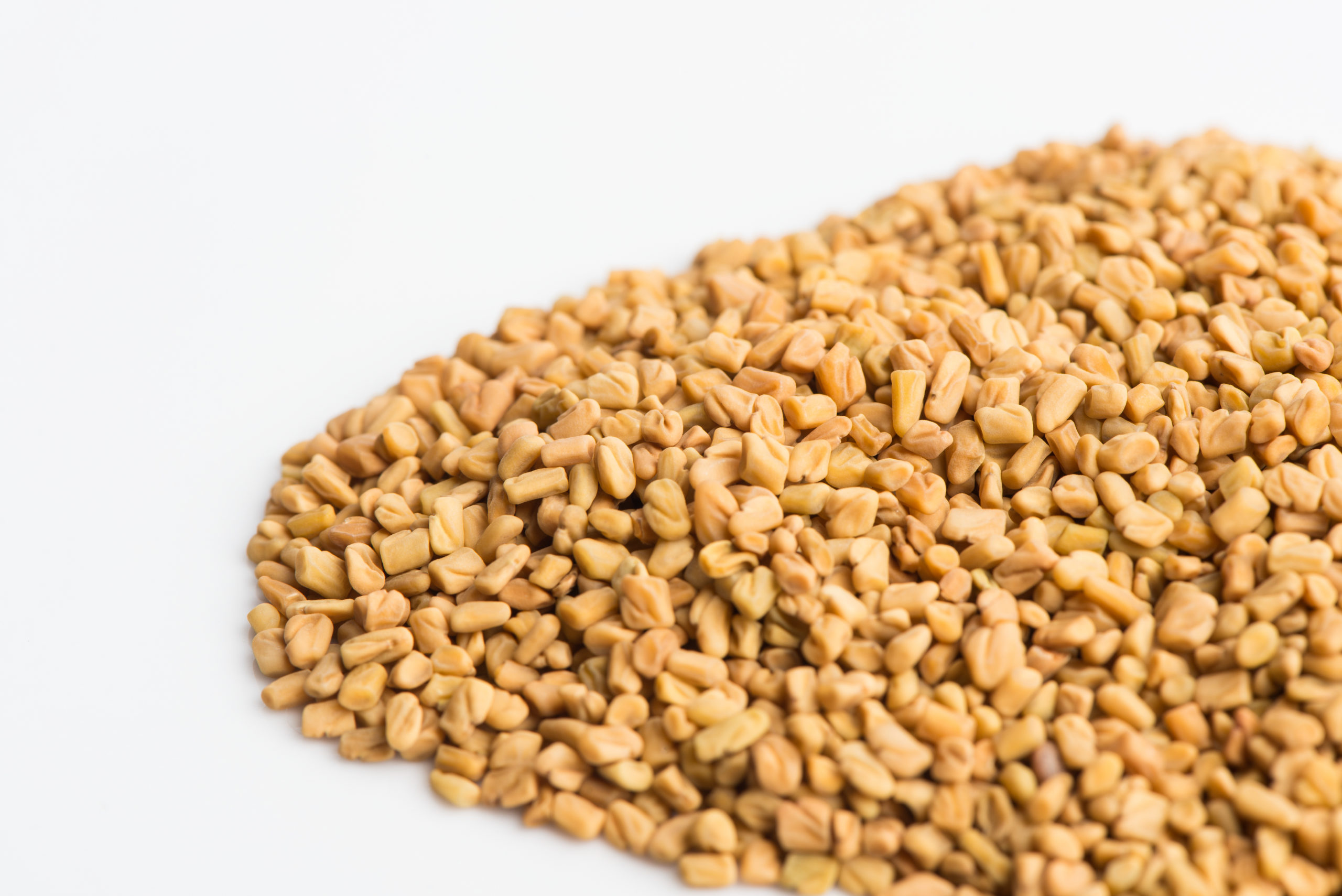 Fenugreek sprouting seeds, Mumms, Superfood, 2560x1710 HD Desktop