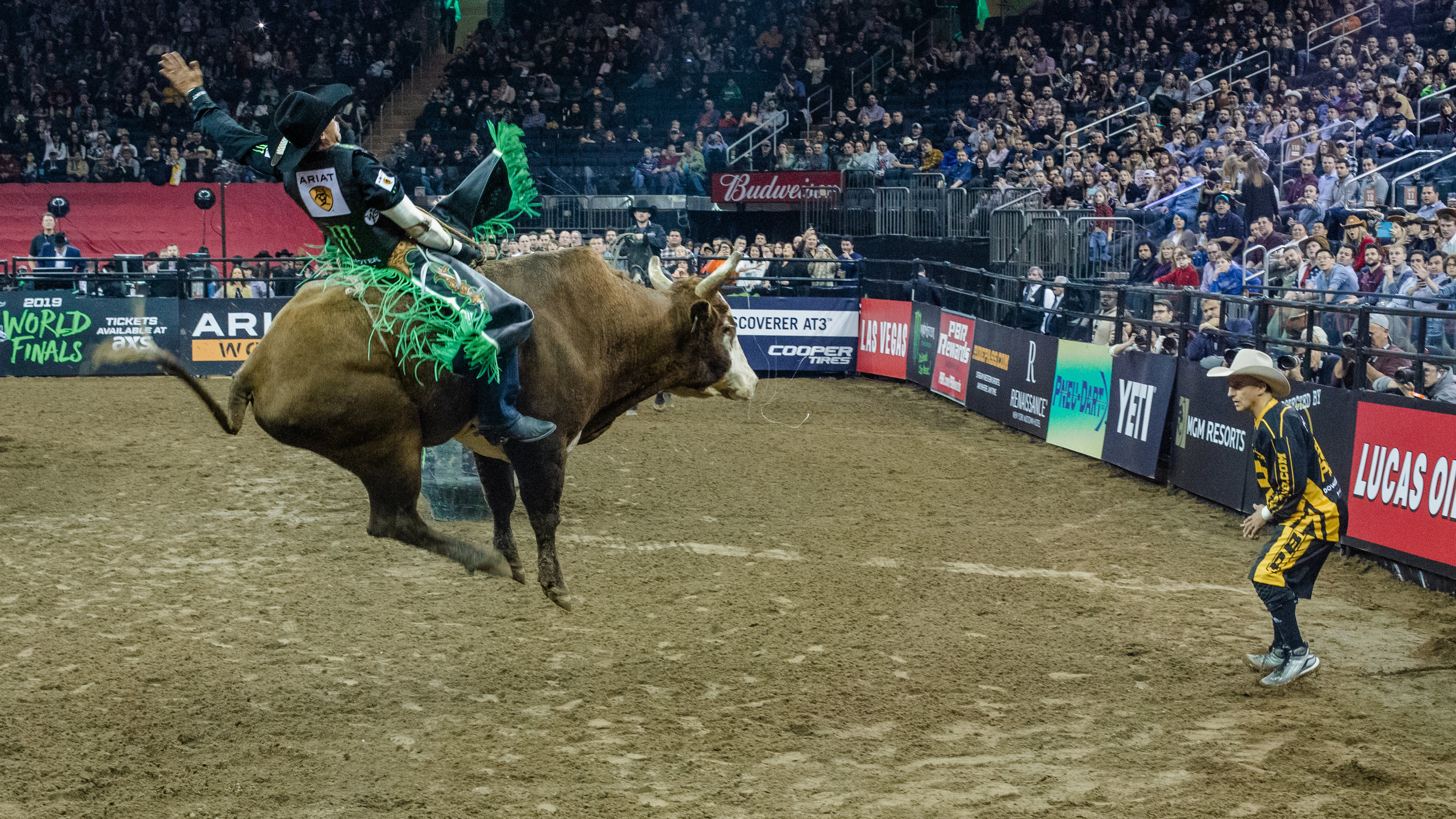 Breeding bucking bulls, Rodeo secrets, Cows' influence, New York Times article, 3000x1690 HD Desktop