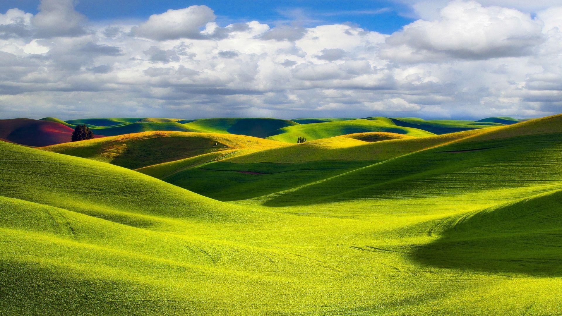 Palouse rolling hills, green agricultural fields, cloudy blue sky, Full HD Desktop wallpaper