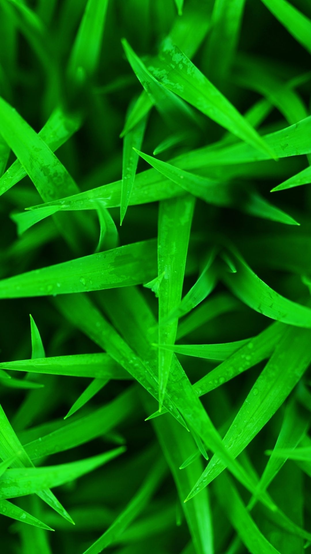 Earth grass mobile wallpaper, Monochromatic photography, Retina wallpaper, Serene backdrop, 1080x1920 Full HD Phone