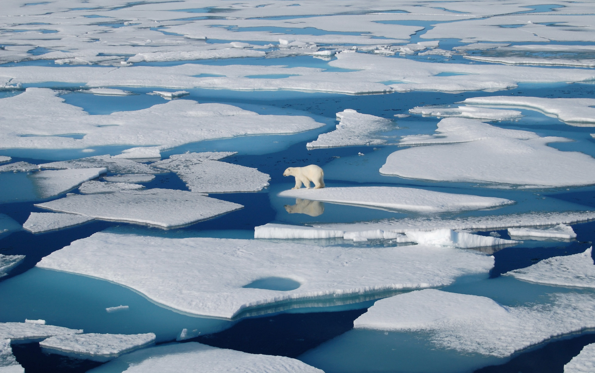 Arctic, Regional Stability, Threat, 1960x1230 HD Desktop