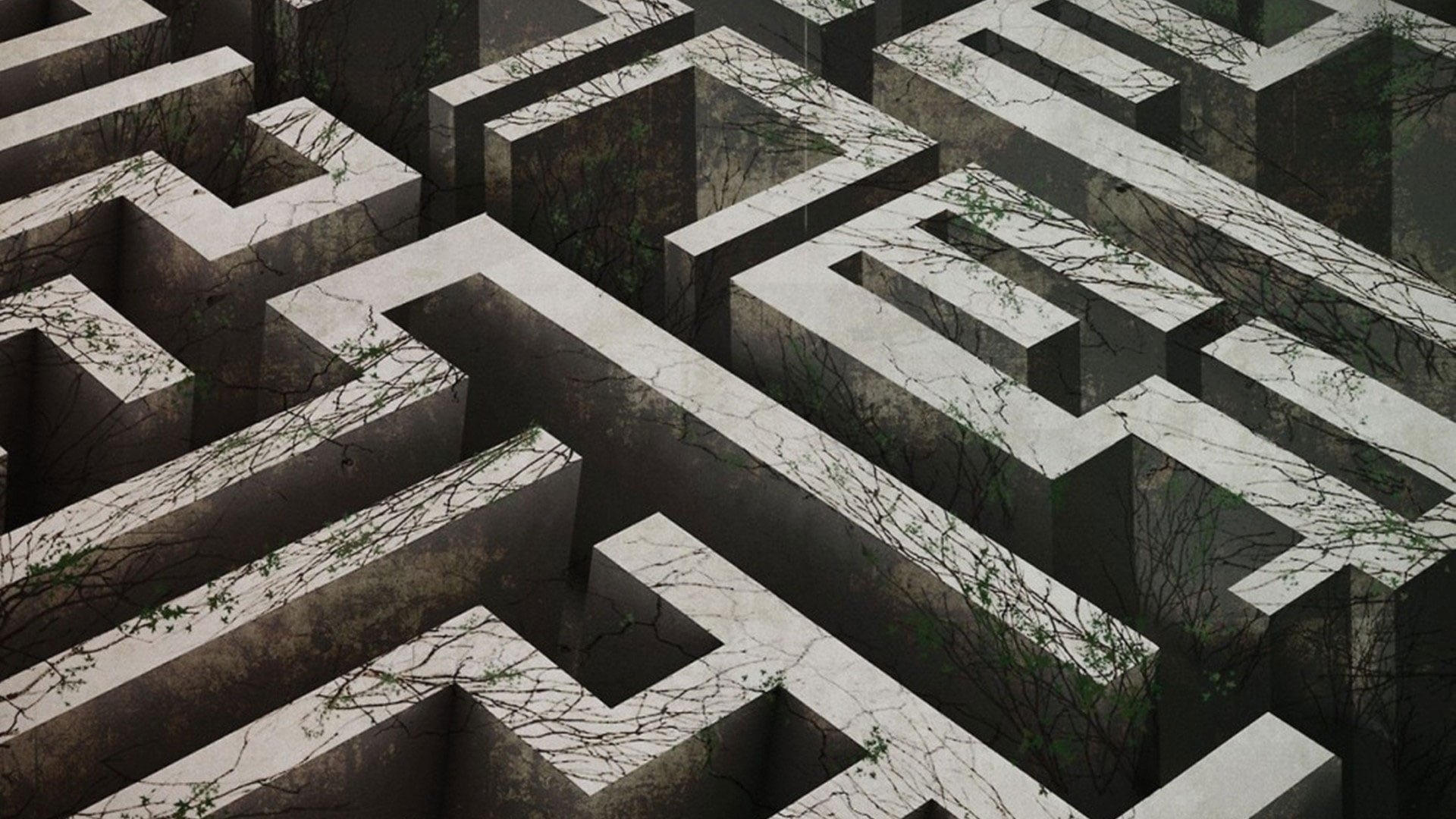 Maze Runner 2014 backdrops, Movie database, 1920x1080 Full HD Desktop