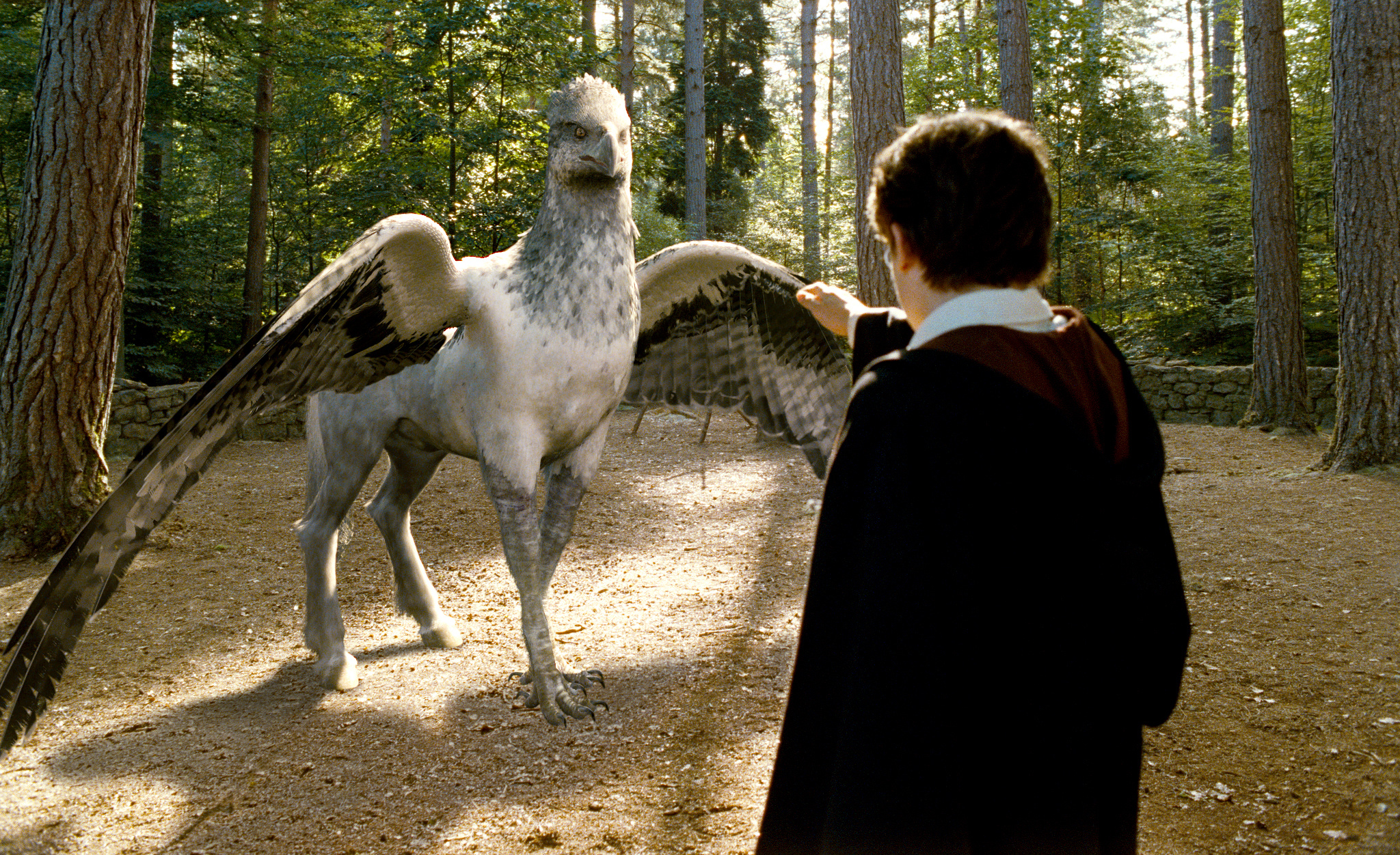 Buckbeak, Feel good moments, Harry Potter, 2050x1260 HD Desktop