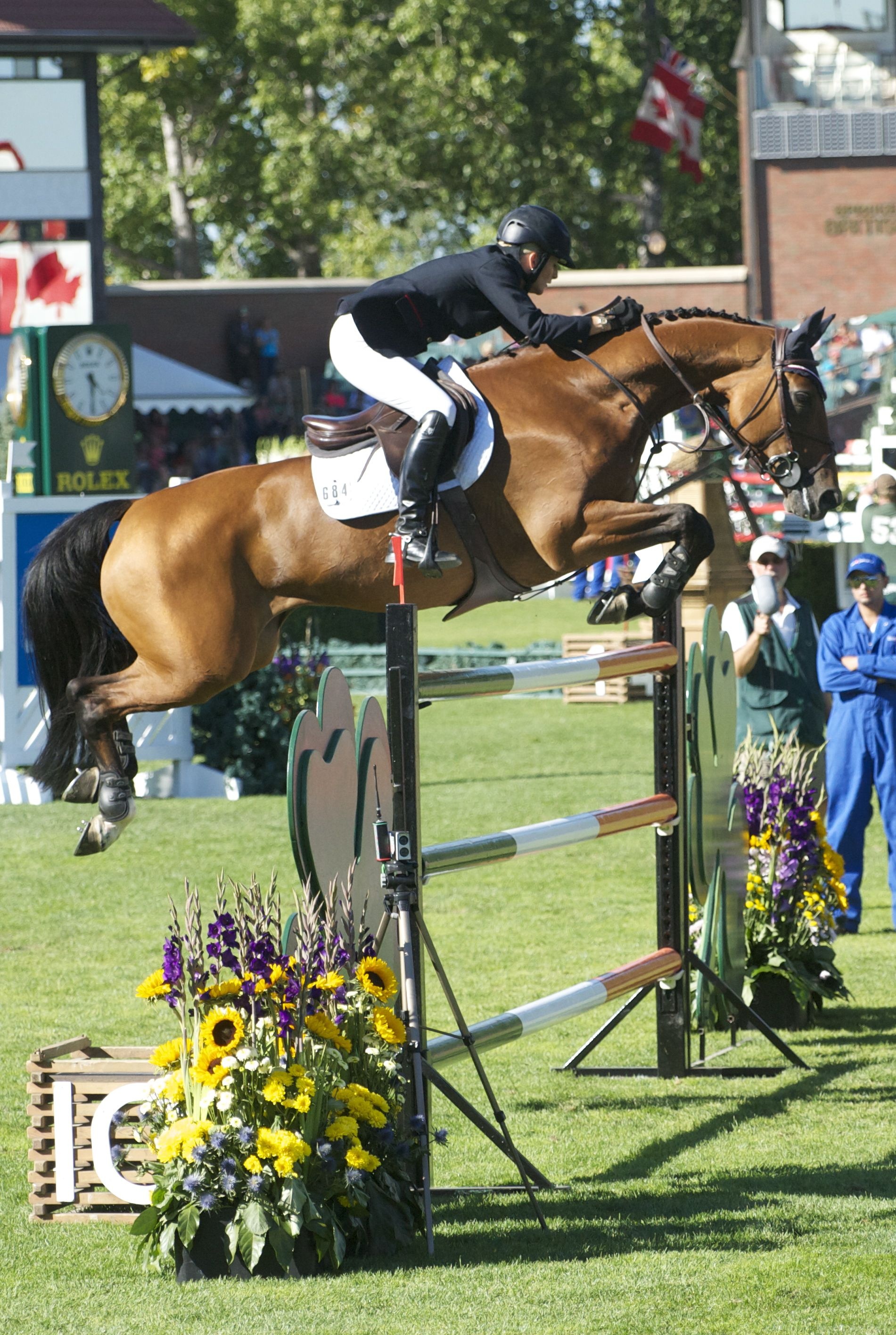 Scott Brash, Eventing Wallpaper, 1910x2840 HD Phone