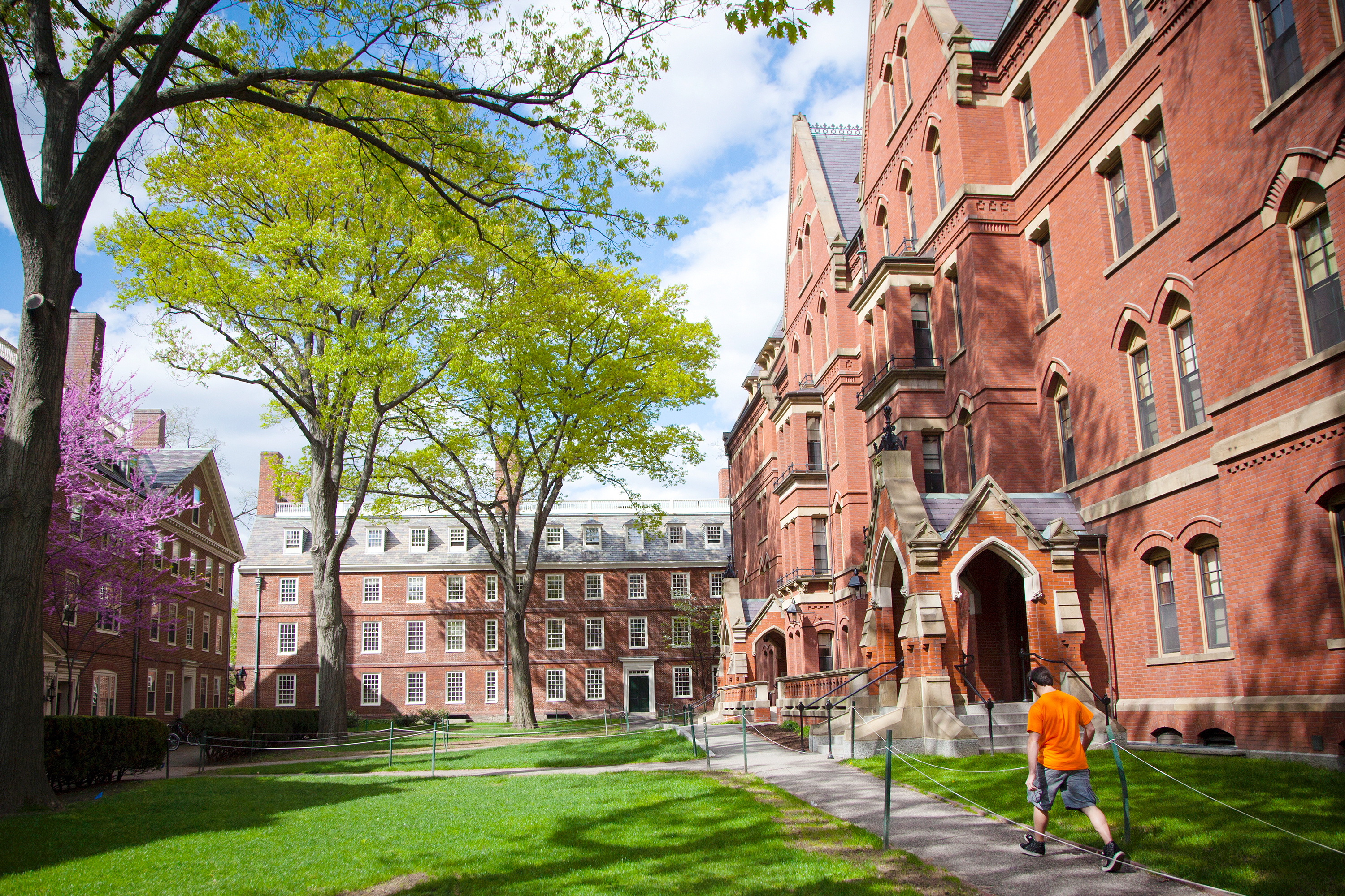 Harvard University Desktop Wallpaper Desktop Wallpapers HMS