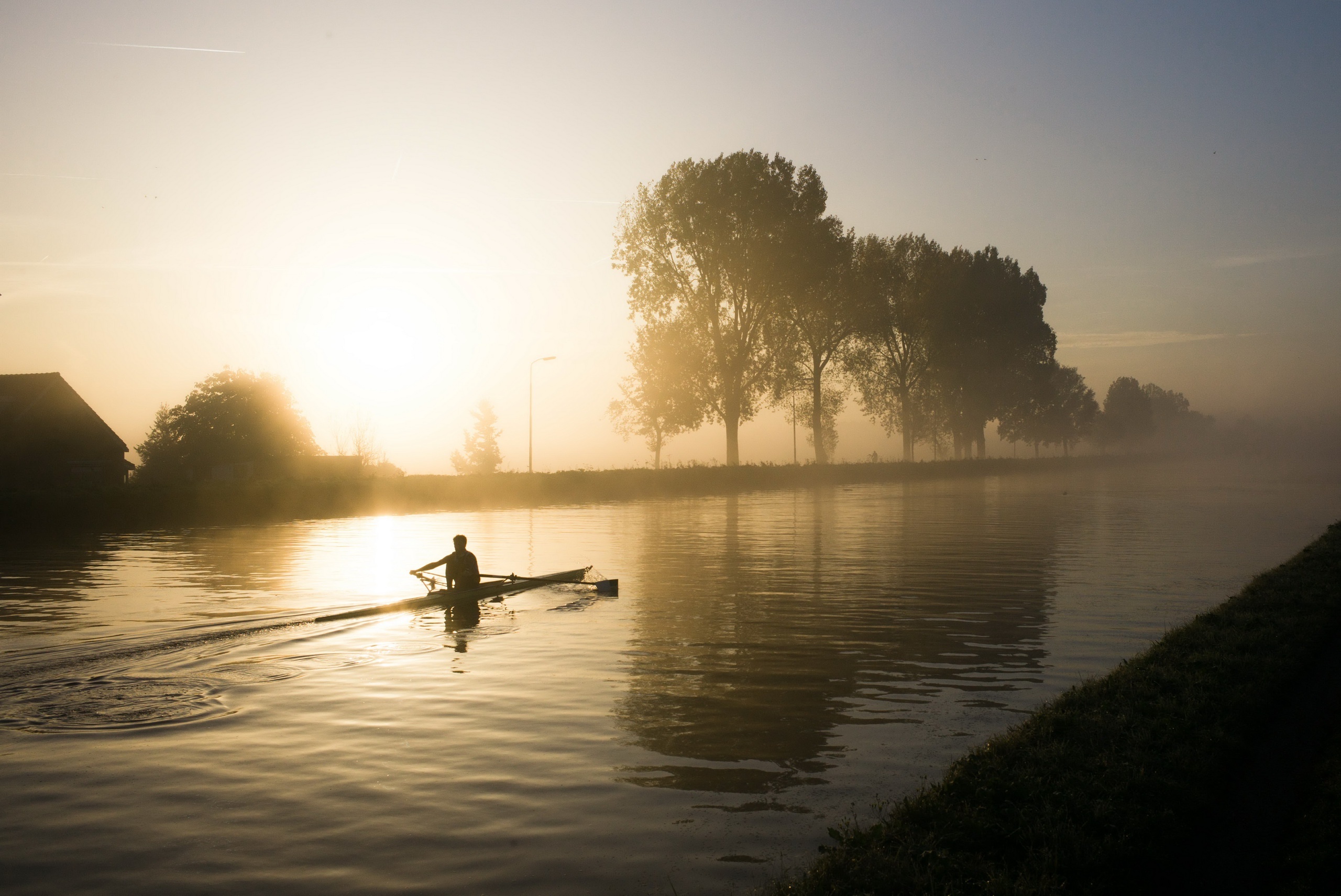 Canal rowing, Sunlit rowing, Water rowing, Trees and rowing, 2560x1710 HD Desktop