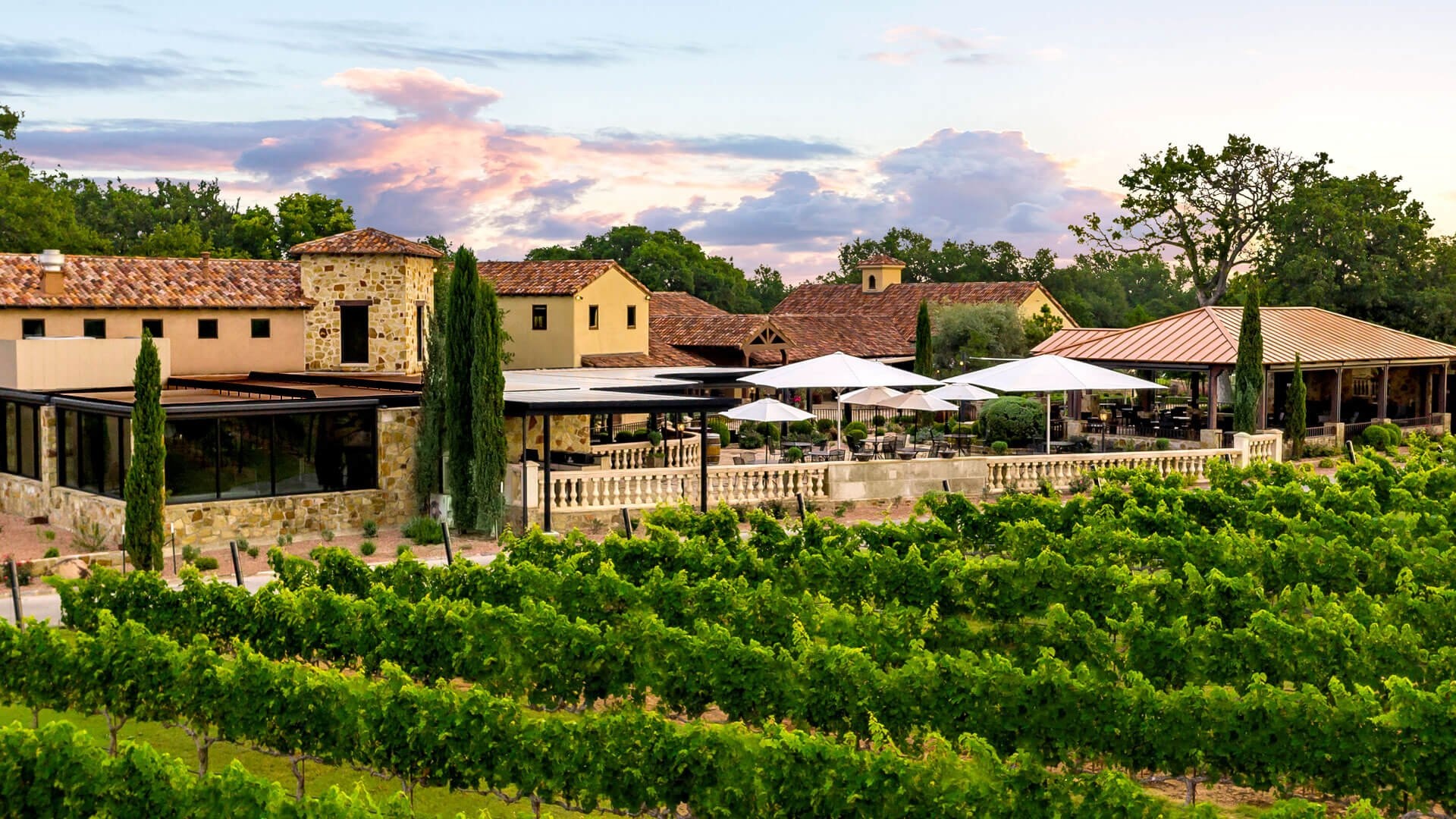 Vineyards on Hwy 290, Wine enthusiasts, Scenic beauty, Wine tasting, 1920x1080 Full HD Desktop