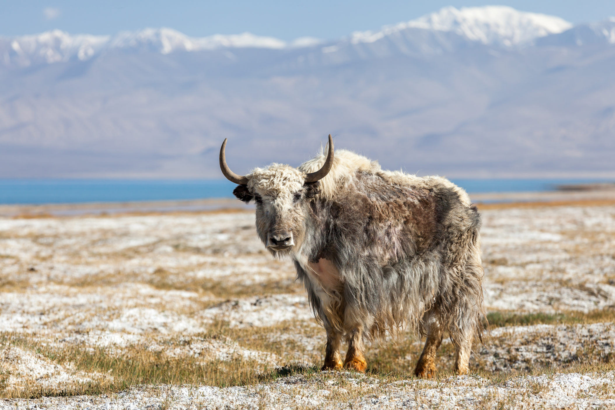 Tajikistan United States Department, Travel information, Adventure destination, Cultural wonders, 2110x1410 HD Desktop
