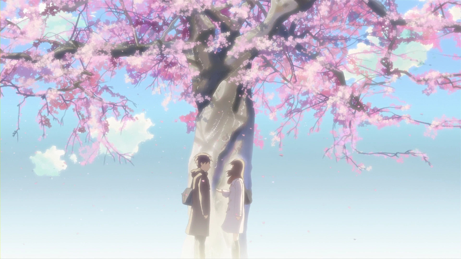 Takaki Tono and Akari Shinohara, Blooming cherry blossom tree, 5 Centimeters per Second, Full HD Desktop wallpaper