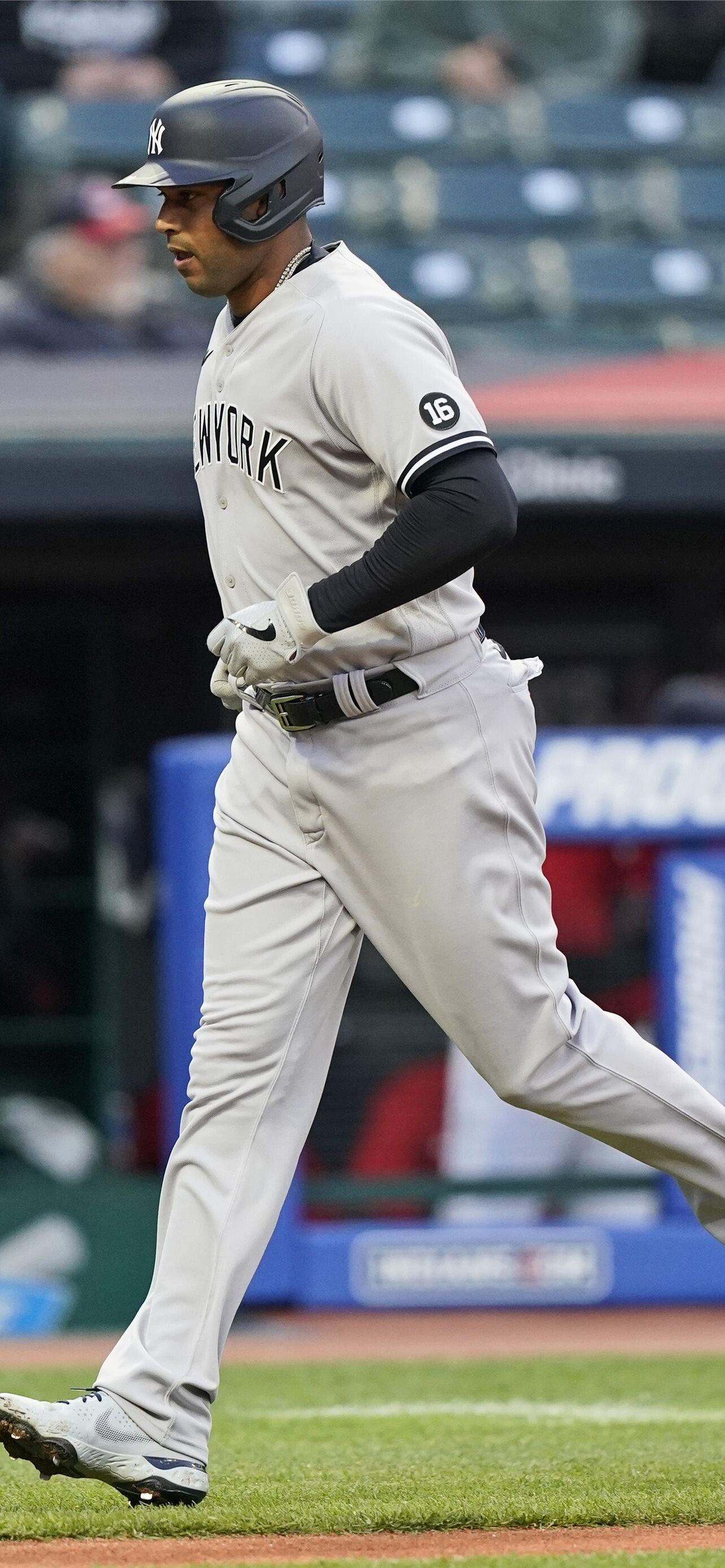 Giancarlo Stanton, iPhone wallpapers, Free download, 1290x2780 HD Phone