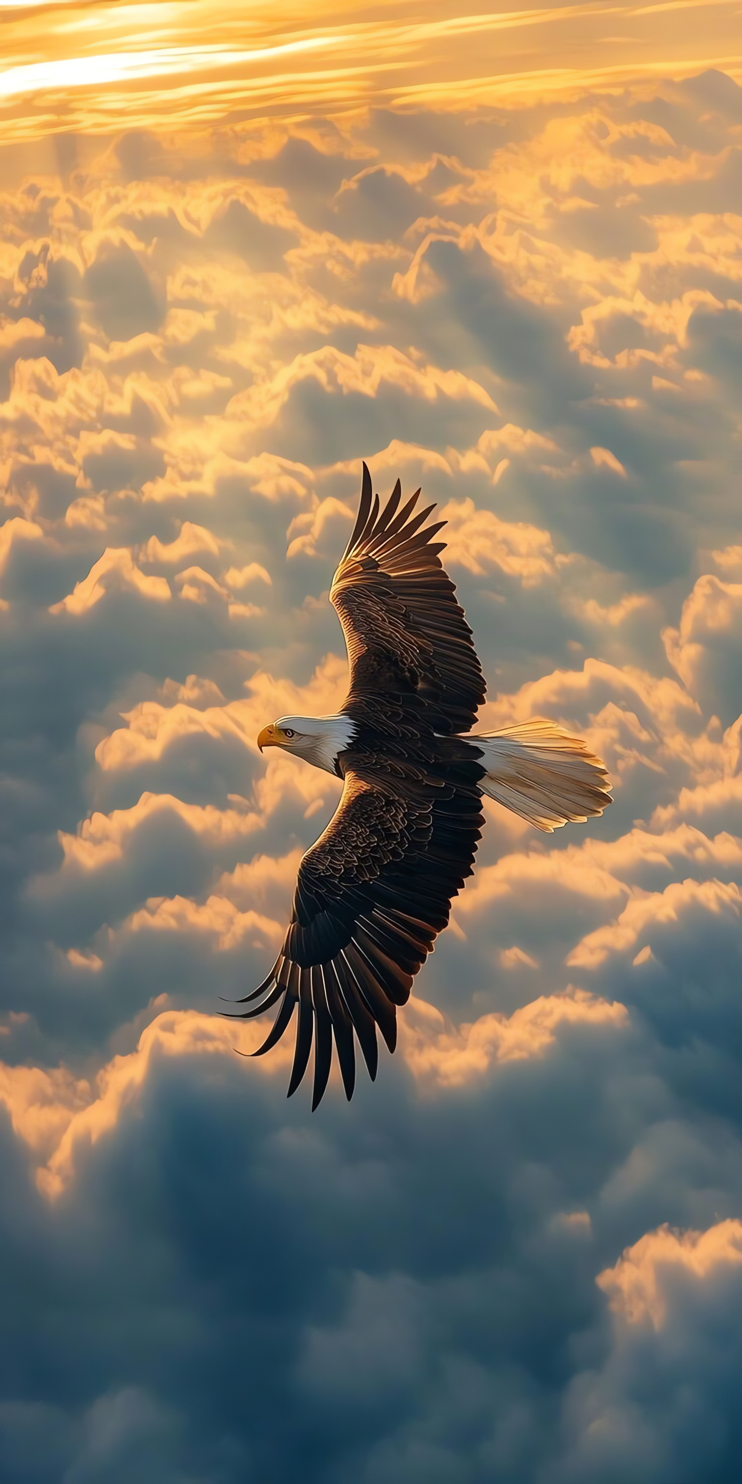 Cloudy Sky, Eagle Flight Wallpaper, Sunrise Clouds, Phone, HDR