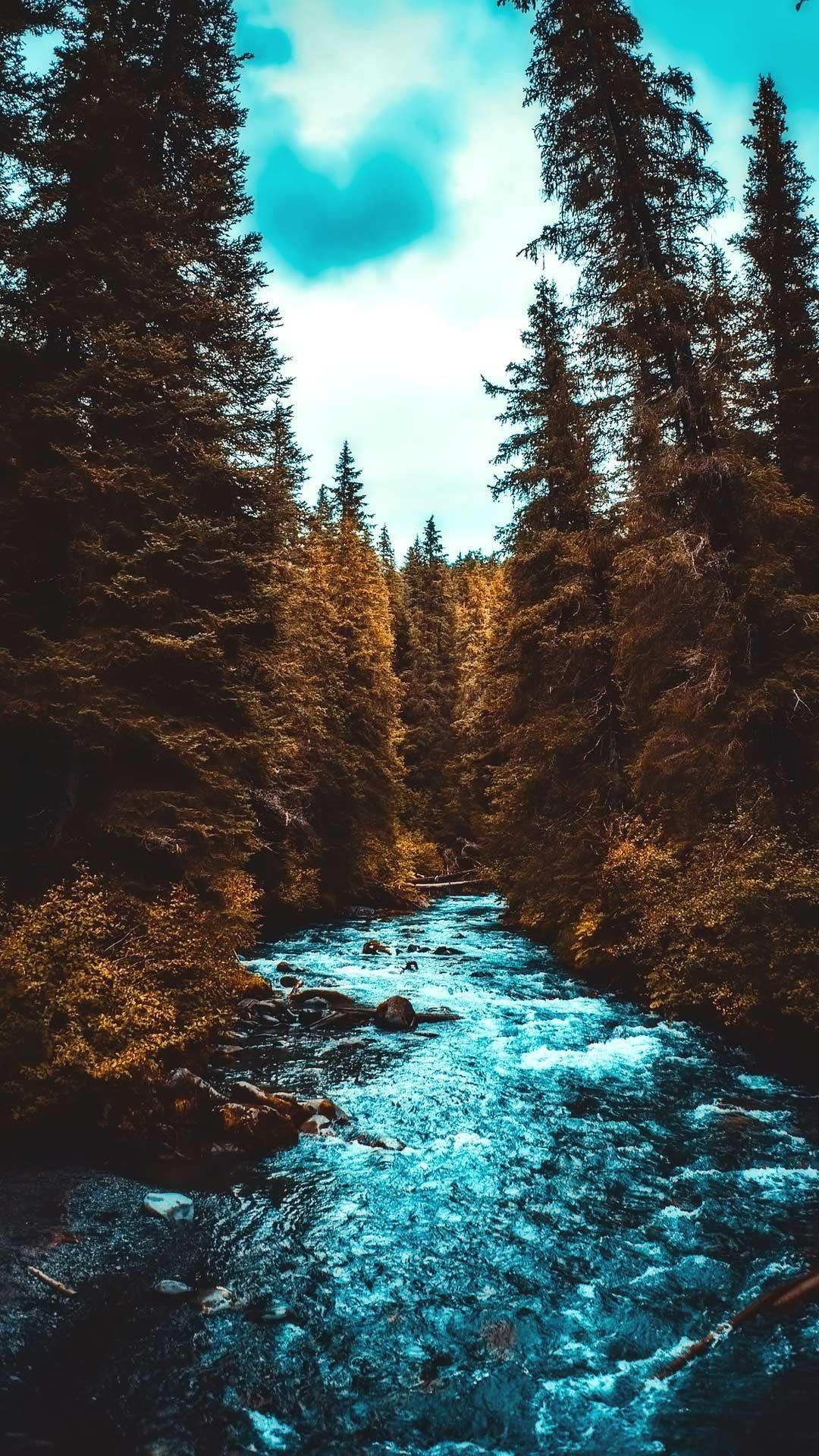 Alaska travels, Forest wallpaper, Phone backgrounds, Nature beauty, 1080x1920 Full HD Phone