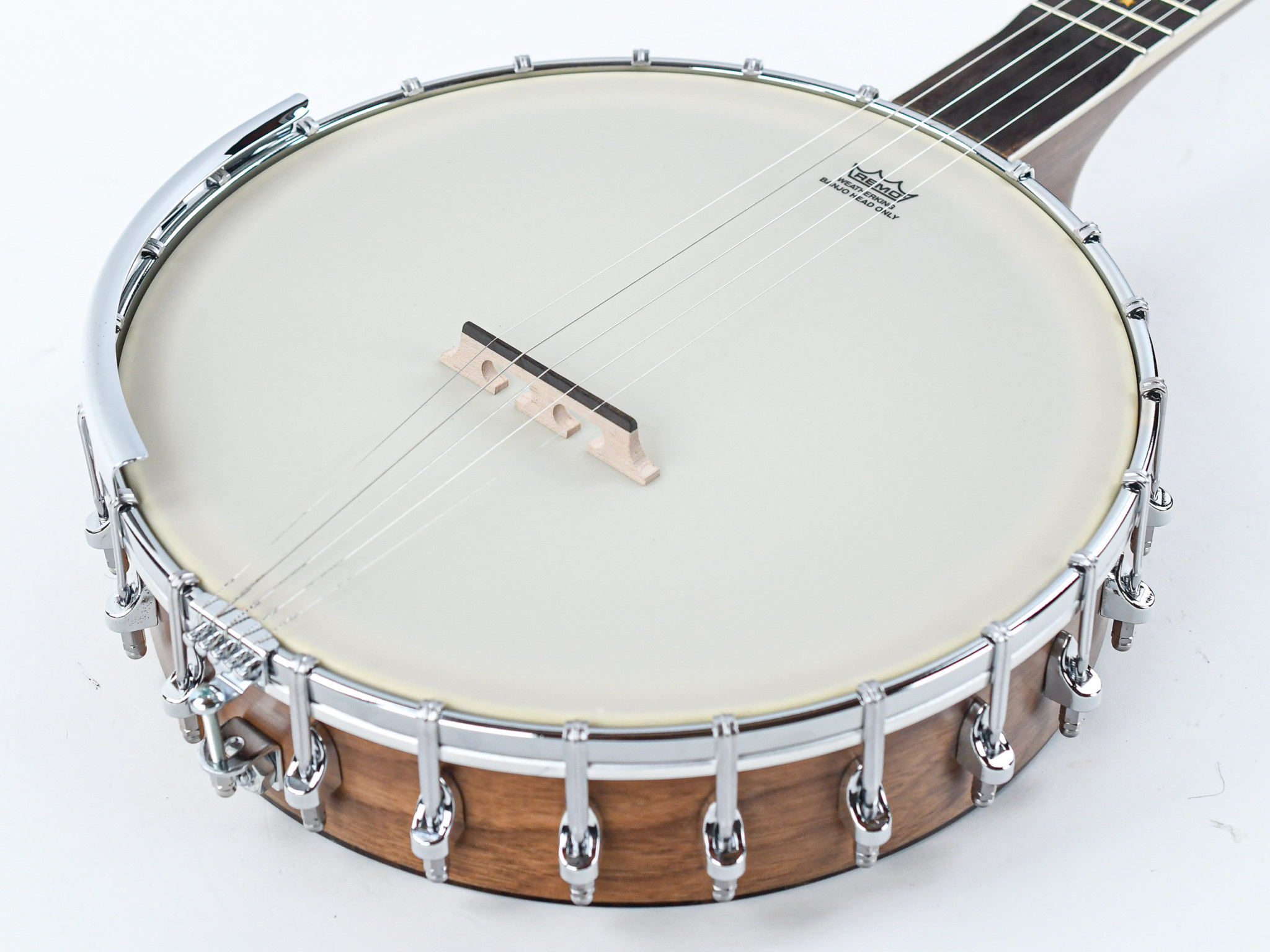 Ashbury ab85, Openback banjo, The Fellowship of Acoustics, Banjo music, 2050x1540 HD Desktop
