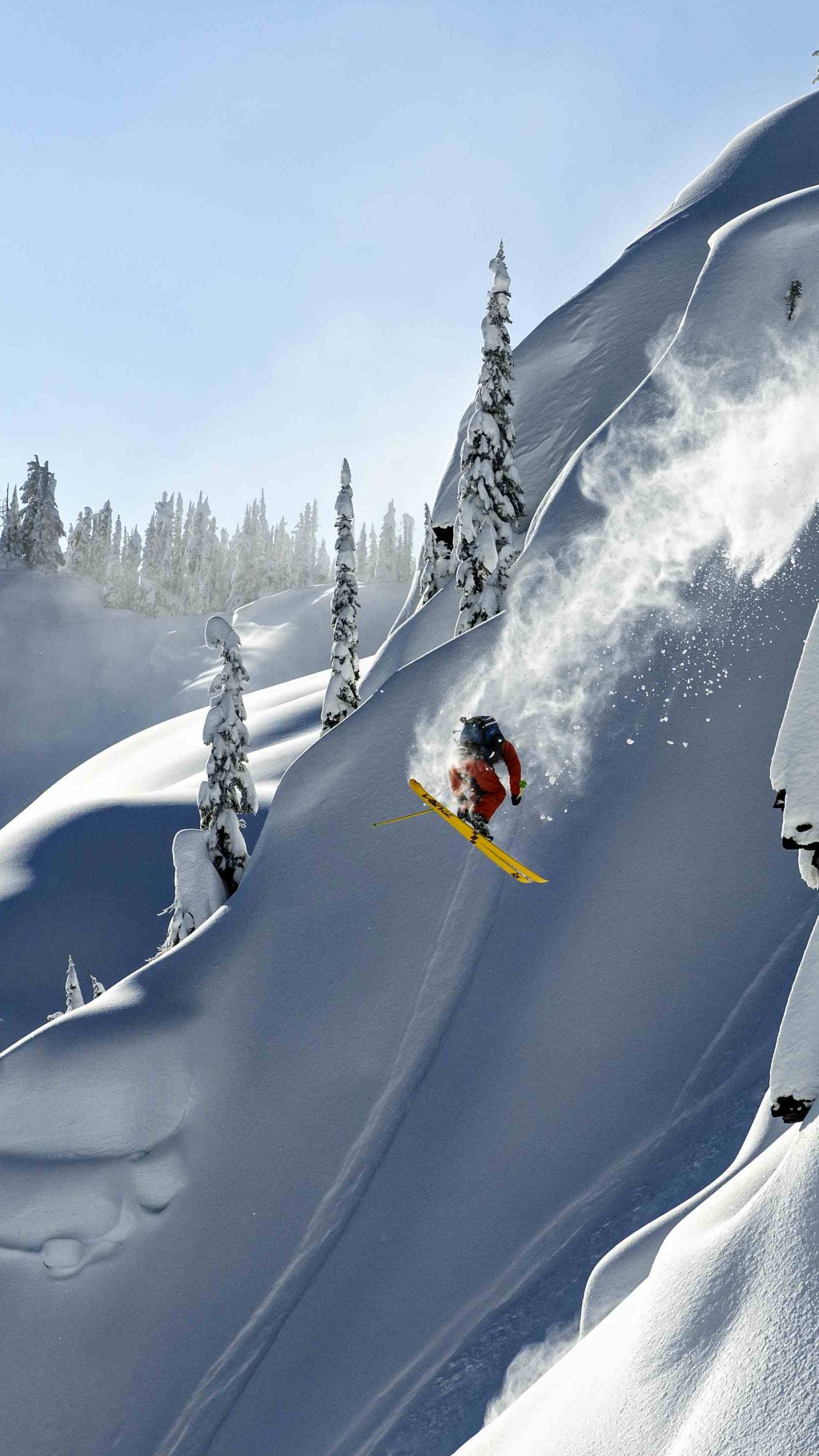 Alaska heliskiing, Haines USA, Thomas Hlawitschka skiing, Majestic winter mountains, 1440x2560 HD Phone