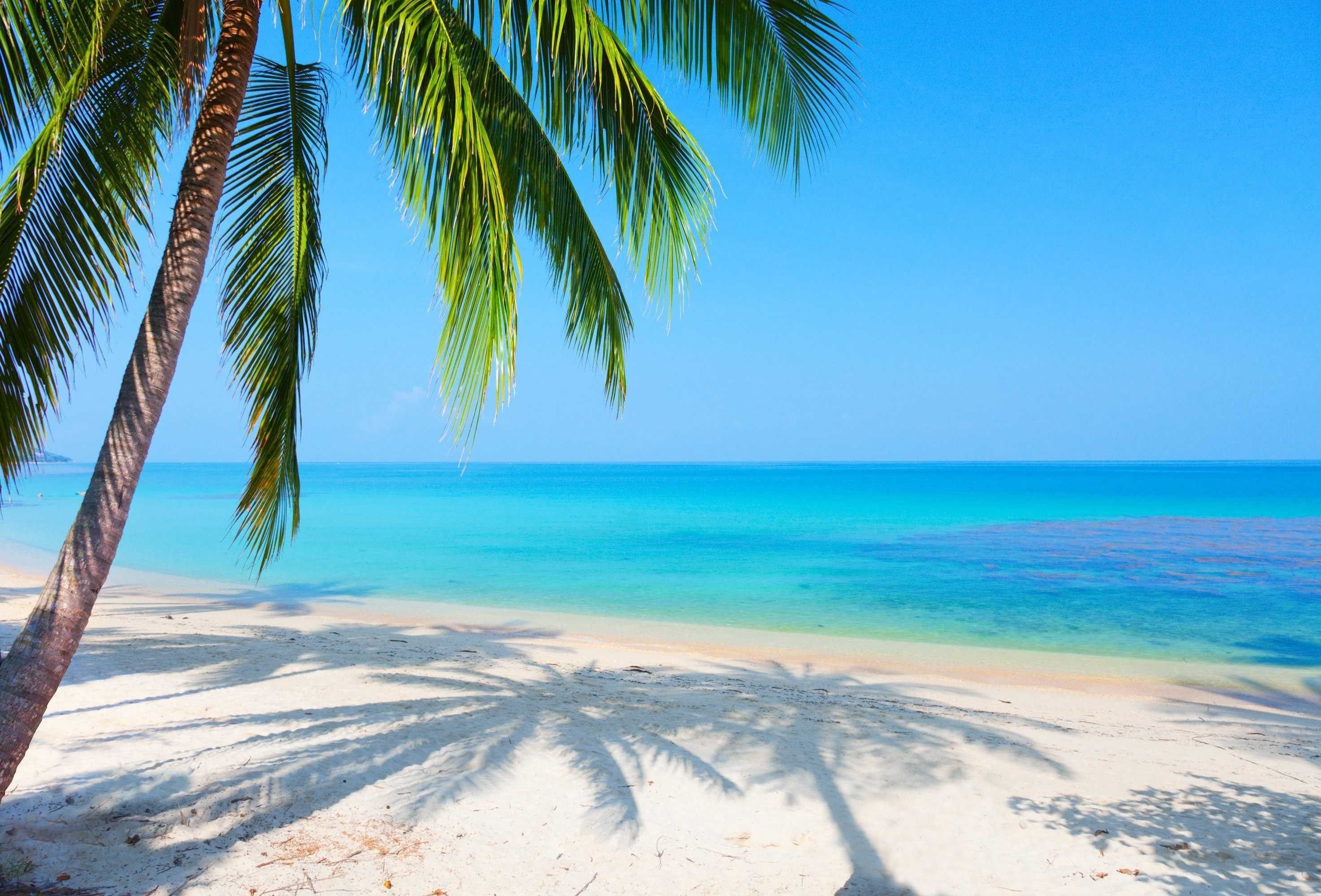 Leaning coconut palm tree, Palm shadow on sand, Turquoise tropical ocean, HD Desktop wallpaper