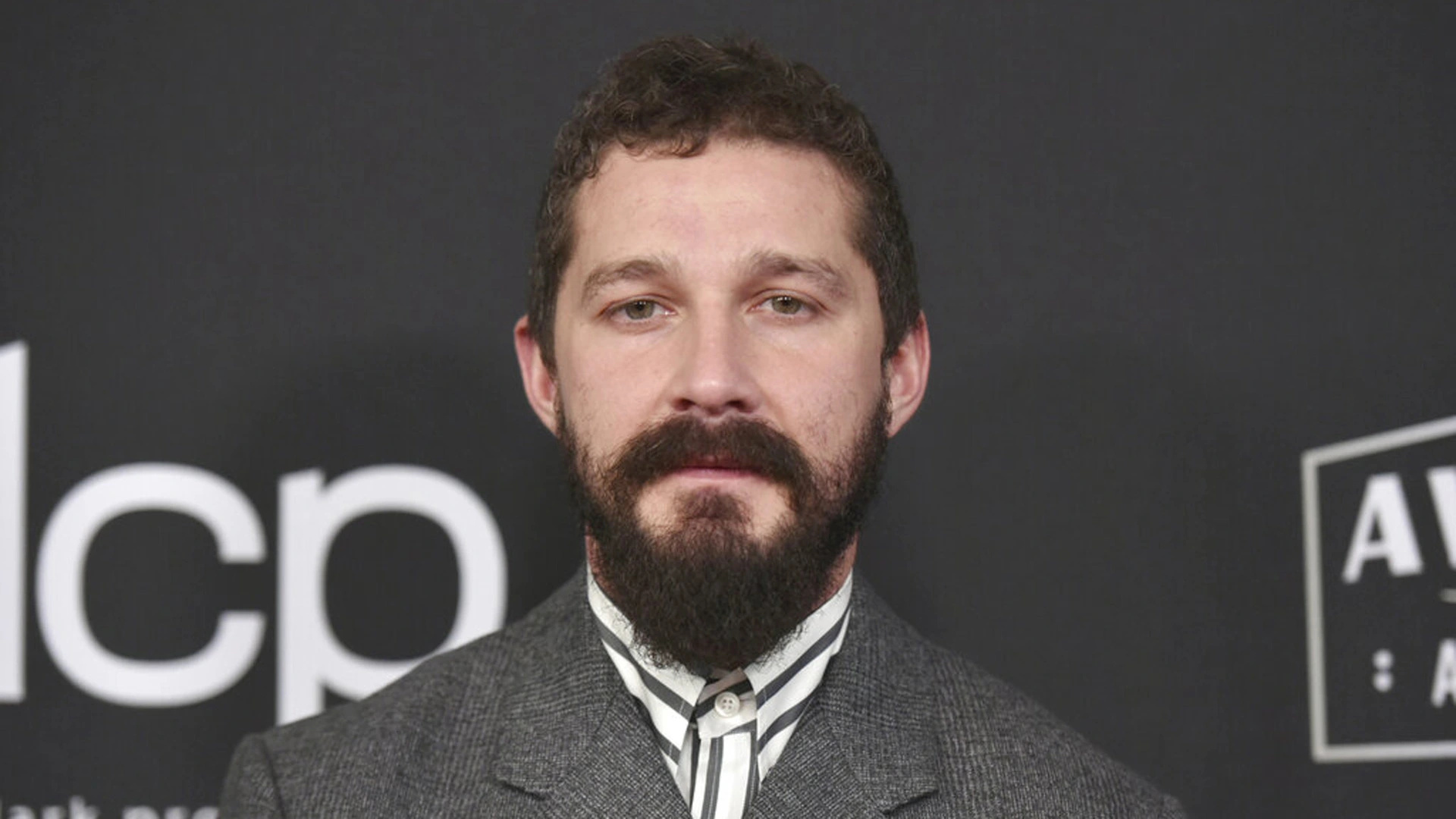 Shia LaBeouf, Misdemeanor Battery, Petty Theft, Klas, 1920x1080 Full HD Desktop