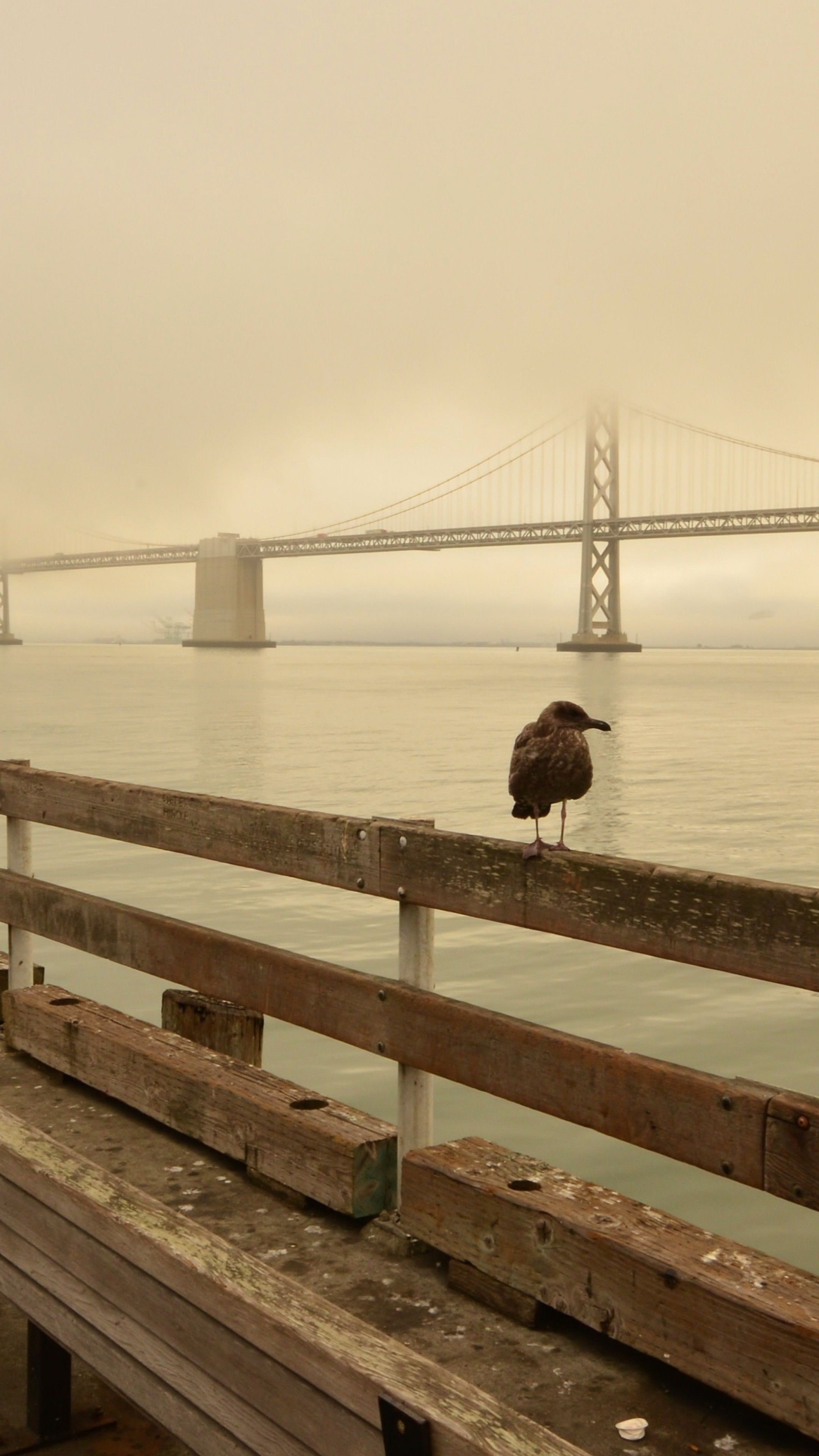 San Francisco Skyline, Beach wallpapers, Coastal beauty, Urban escape, 2160x3840 4K Phone