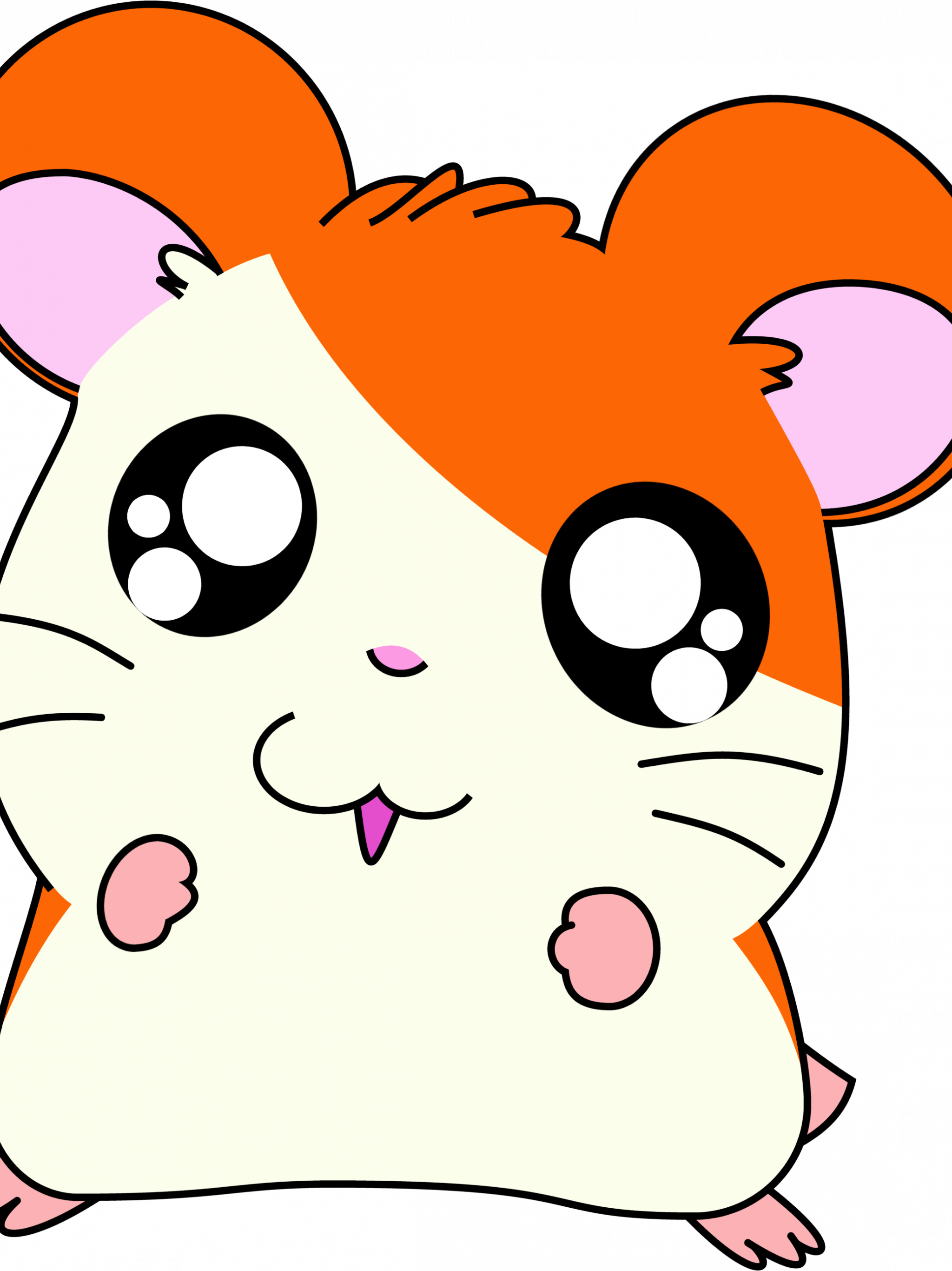 Hamtaro pics photos, Cute hamster, High resolution, Captivating visuals, 2050x2740 HD Phone