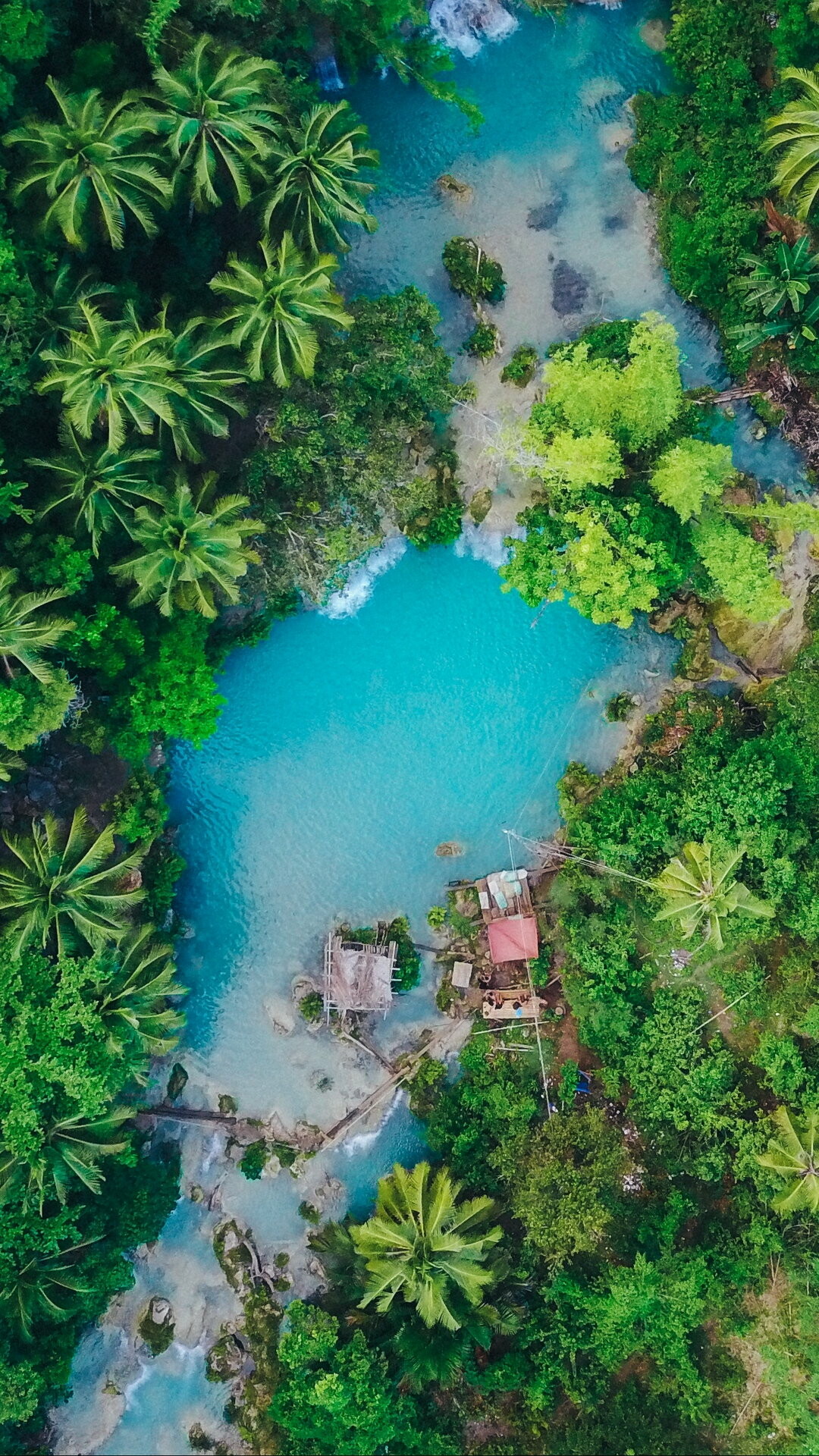 Island, Island palm trees, Top view wallpaper, Tropical escape, 1080x1920 Full HD Phone