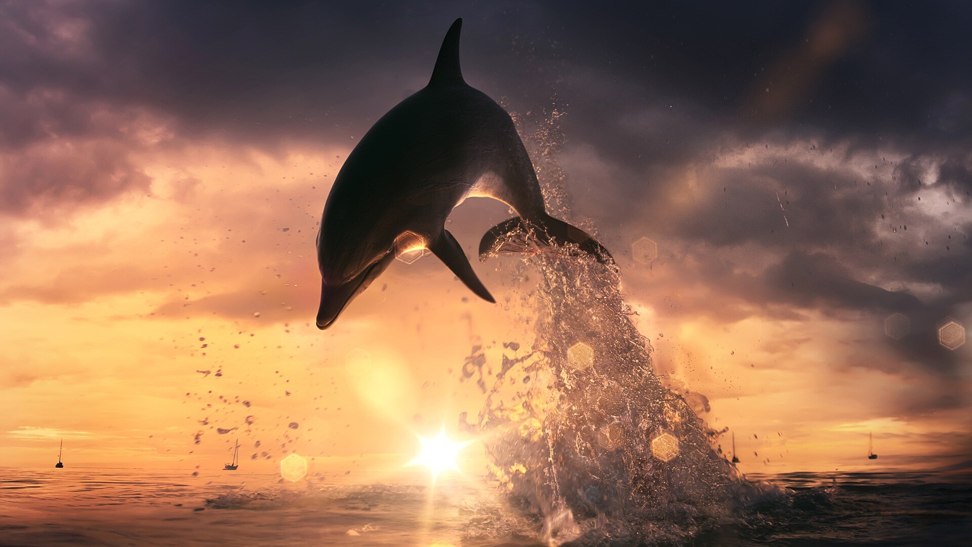 Dolphin jump, Ocean extravaganza, Acrobatic display, Captivating imagery, 1920x1080 Full HD Desktop