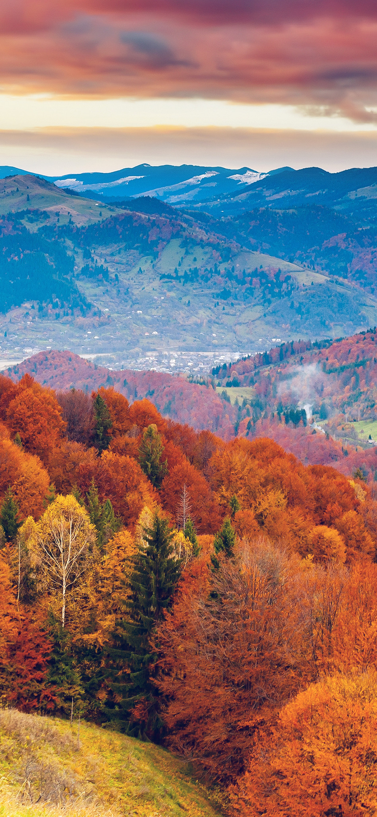 Autumn vibrance, Seasonal transition, Pumpkin hues, Apple orchards, Cozy atmosphere, 1250x2690 HD Phone