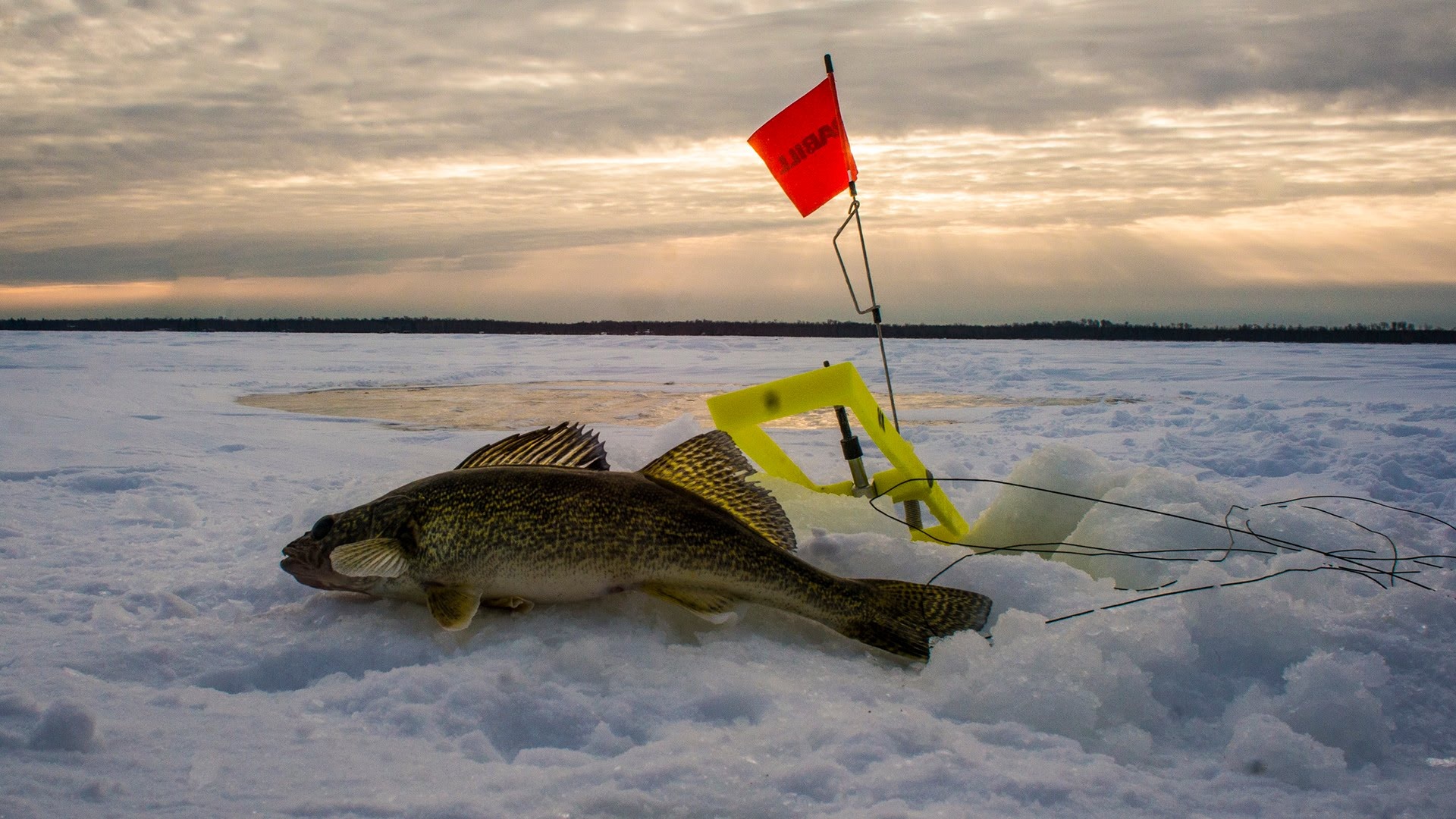 Ice Fishing, Funny ice fishing, Lagoon monster, Montana hunting, 1920x1080 Full HD Desktop