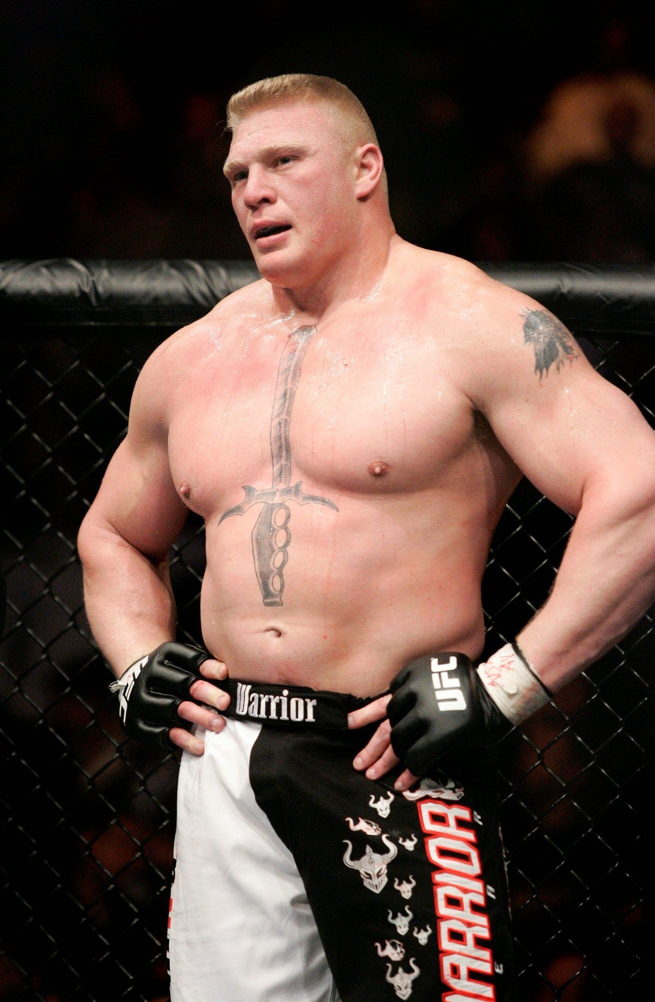 Brock Lesnar, Mixed Martial Arts Wallpaper, 1310x2000 HD Phone