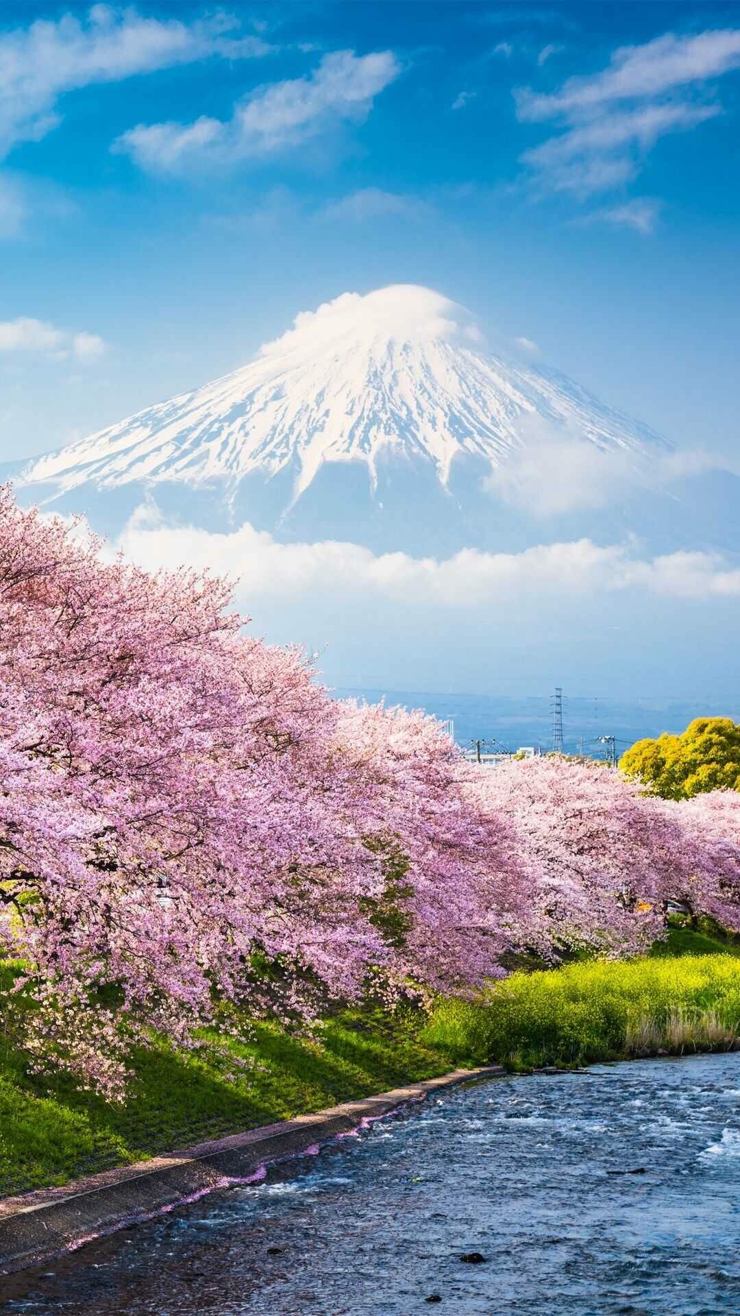 Japan wallpaper, Explore the beauty, 1080x1920 Full HD Phone