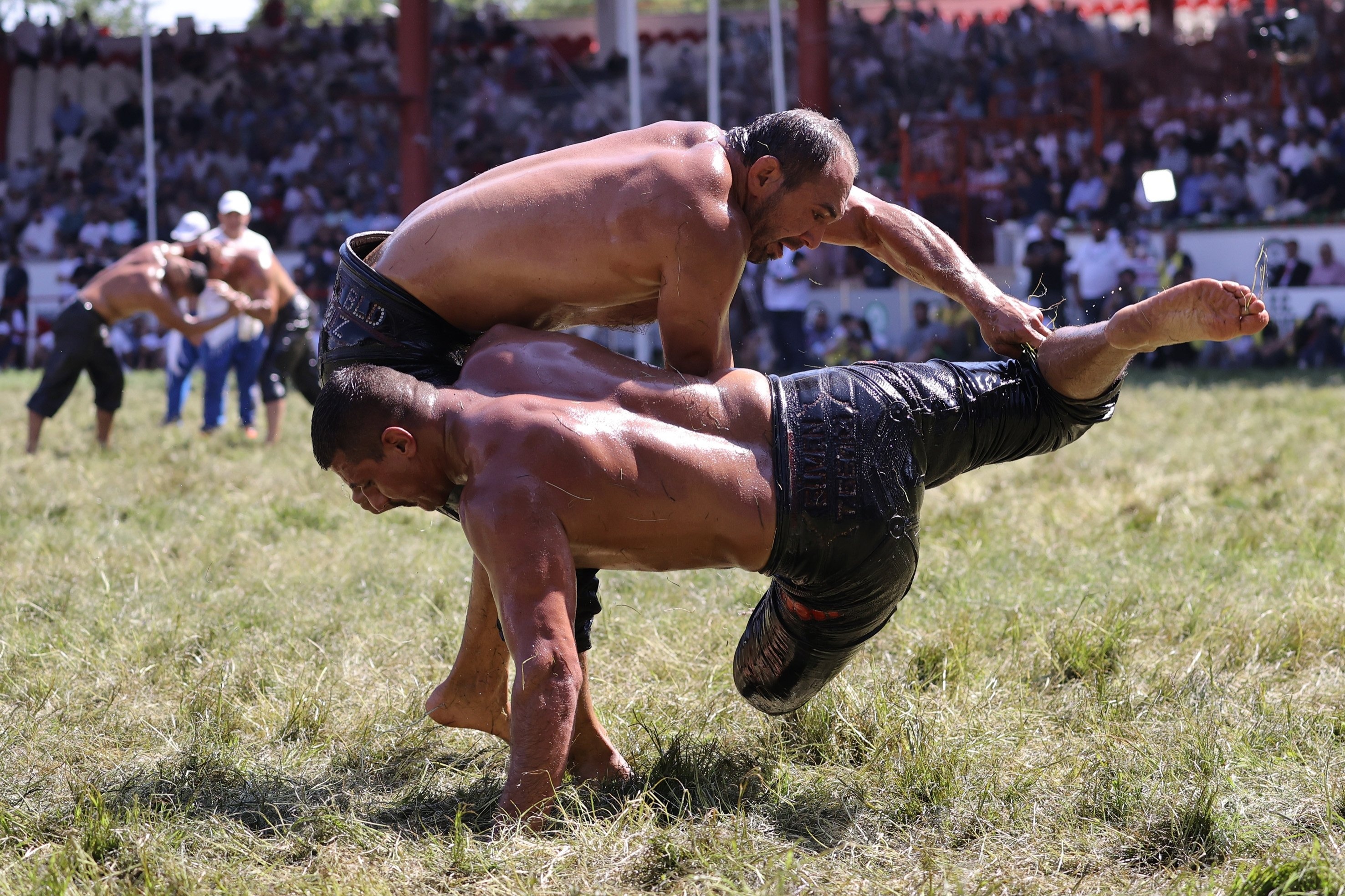 Turkey's oil wrestling fest, Intangible heritage celebration, Cultural significance, Memorable experiences, 2960x1970 HD Desktop