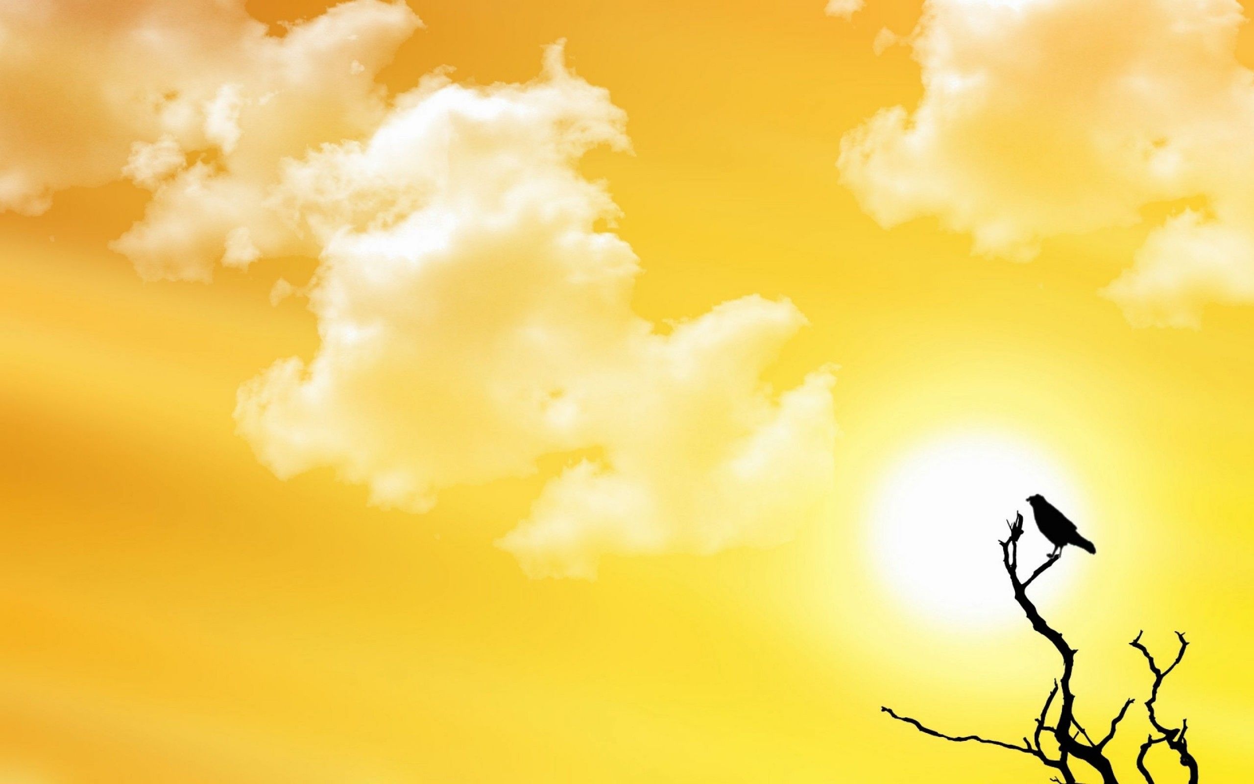 Perched bird silhouette, Bright glowing sun, Golden yellow cloudy sky, HD Desktop wallpaper