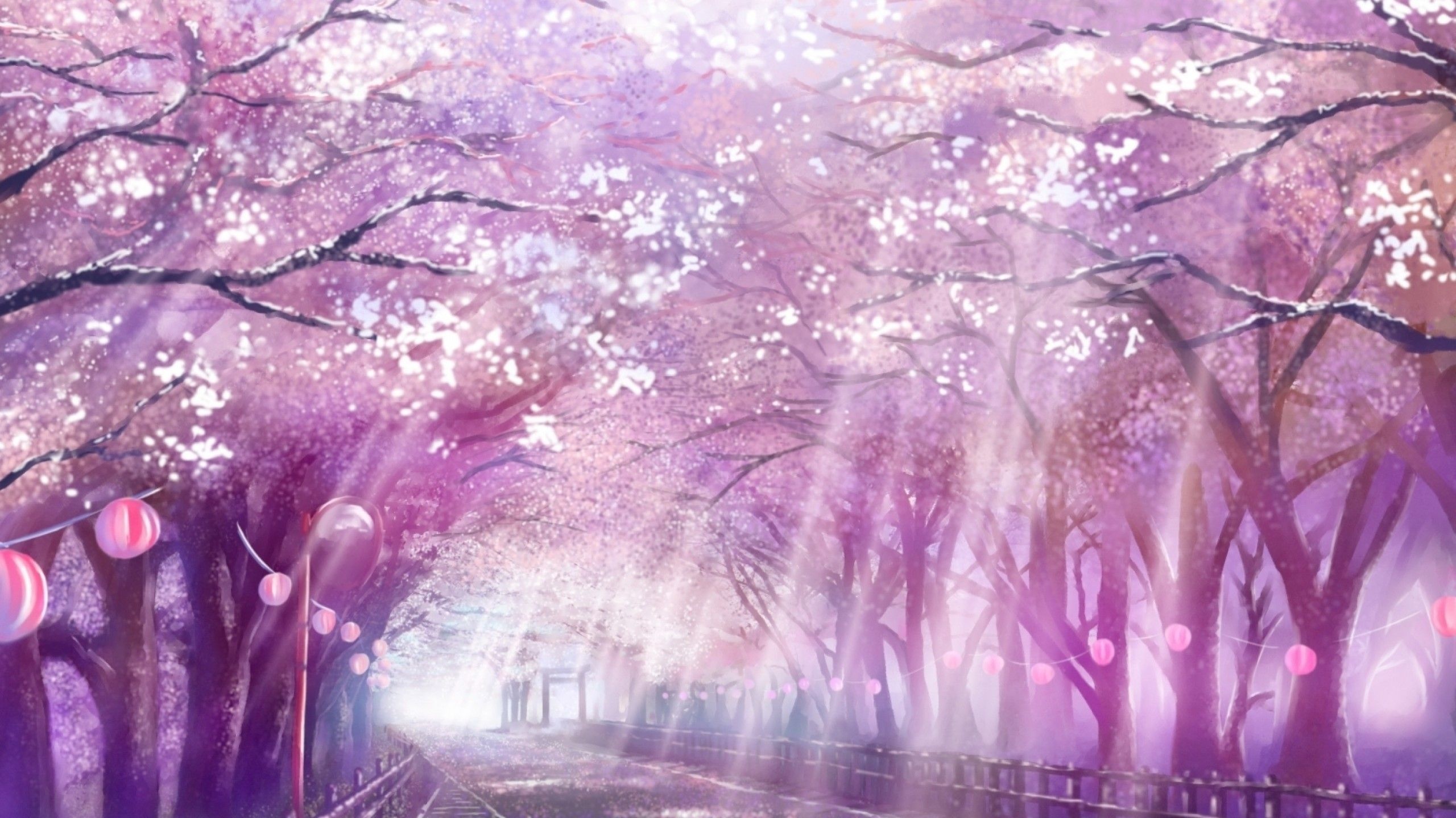 Blooming cherry blossom canopy, Hanging pink lanterns, Sunbeams through sakura trees, HD Desktop wallpaper
