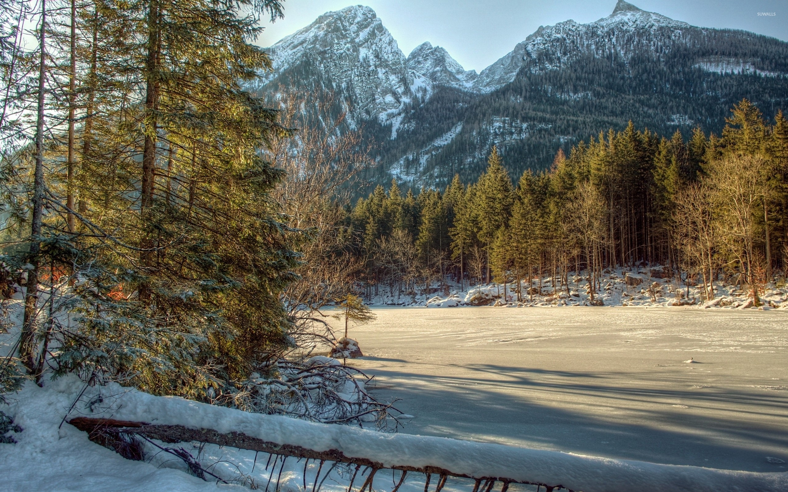 frozen Hintersee lake, snowy Berchtesgaden Alps, winter pine forest, HD Desktop wallpaper
